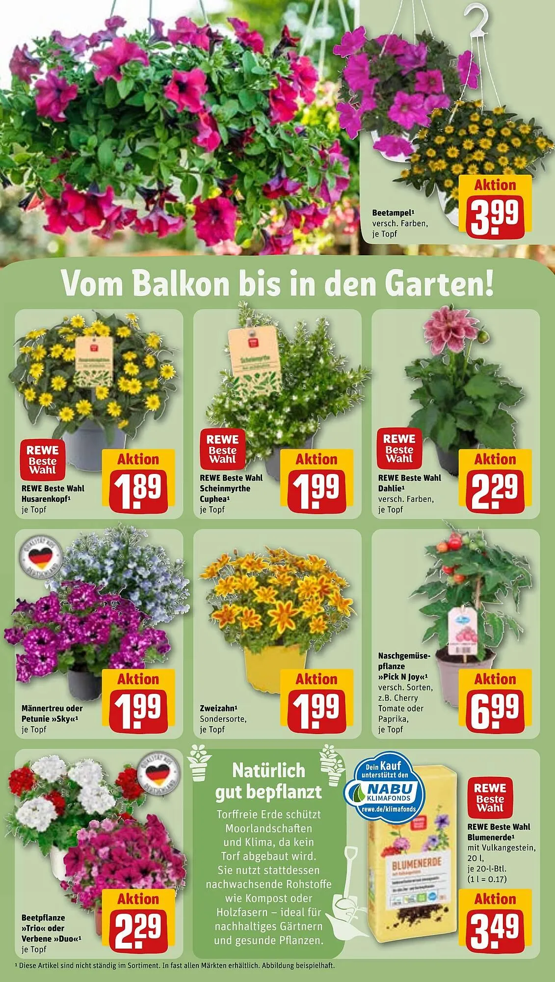 REWE Prospekt von 19. Mai bis 25. Mai 2025 - Prospekt seite 29