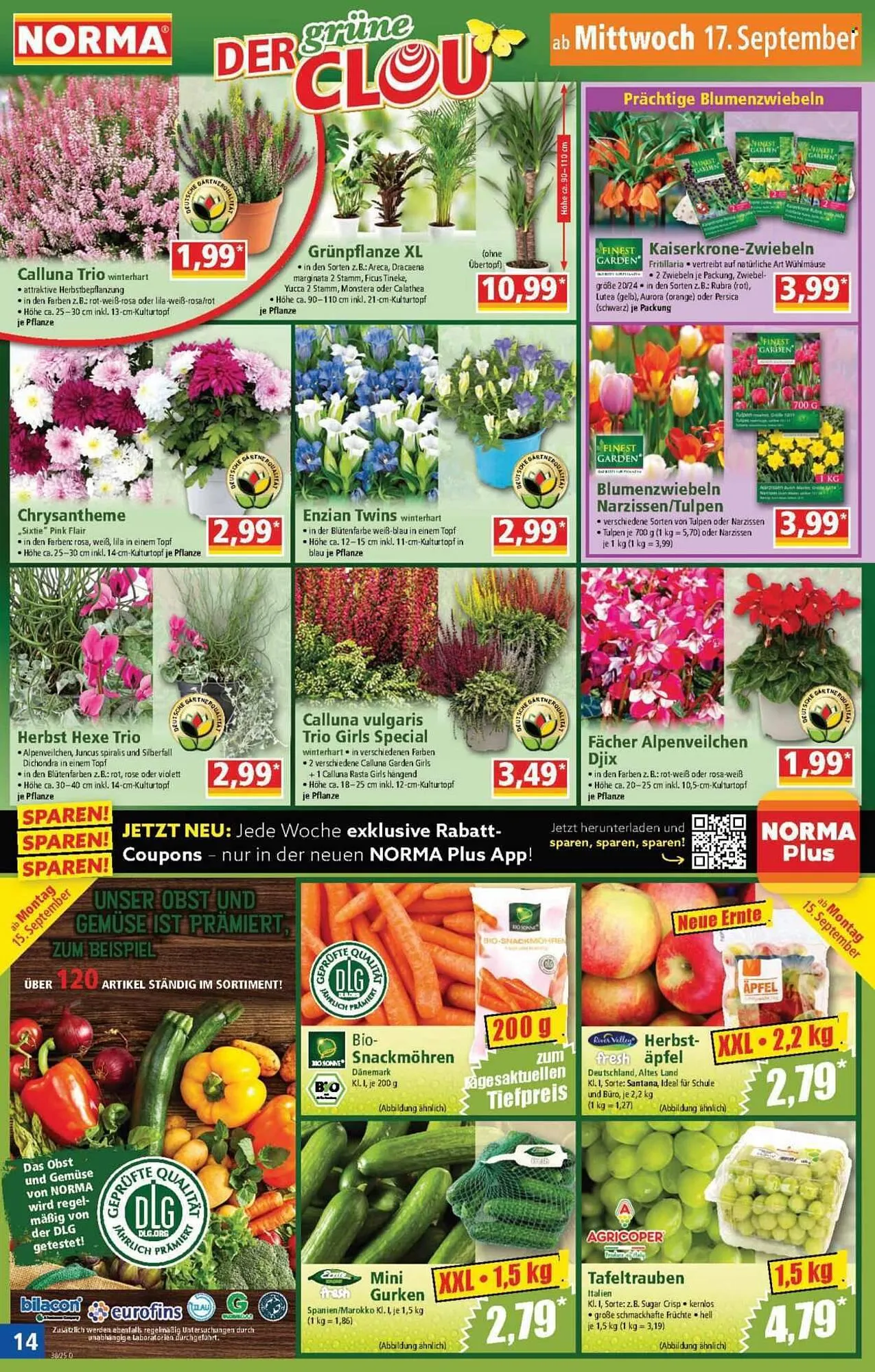 Norma Prospekt von 15. September bis 21. September 2025 - Prospekt seite 14