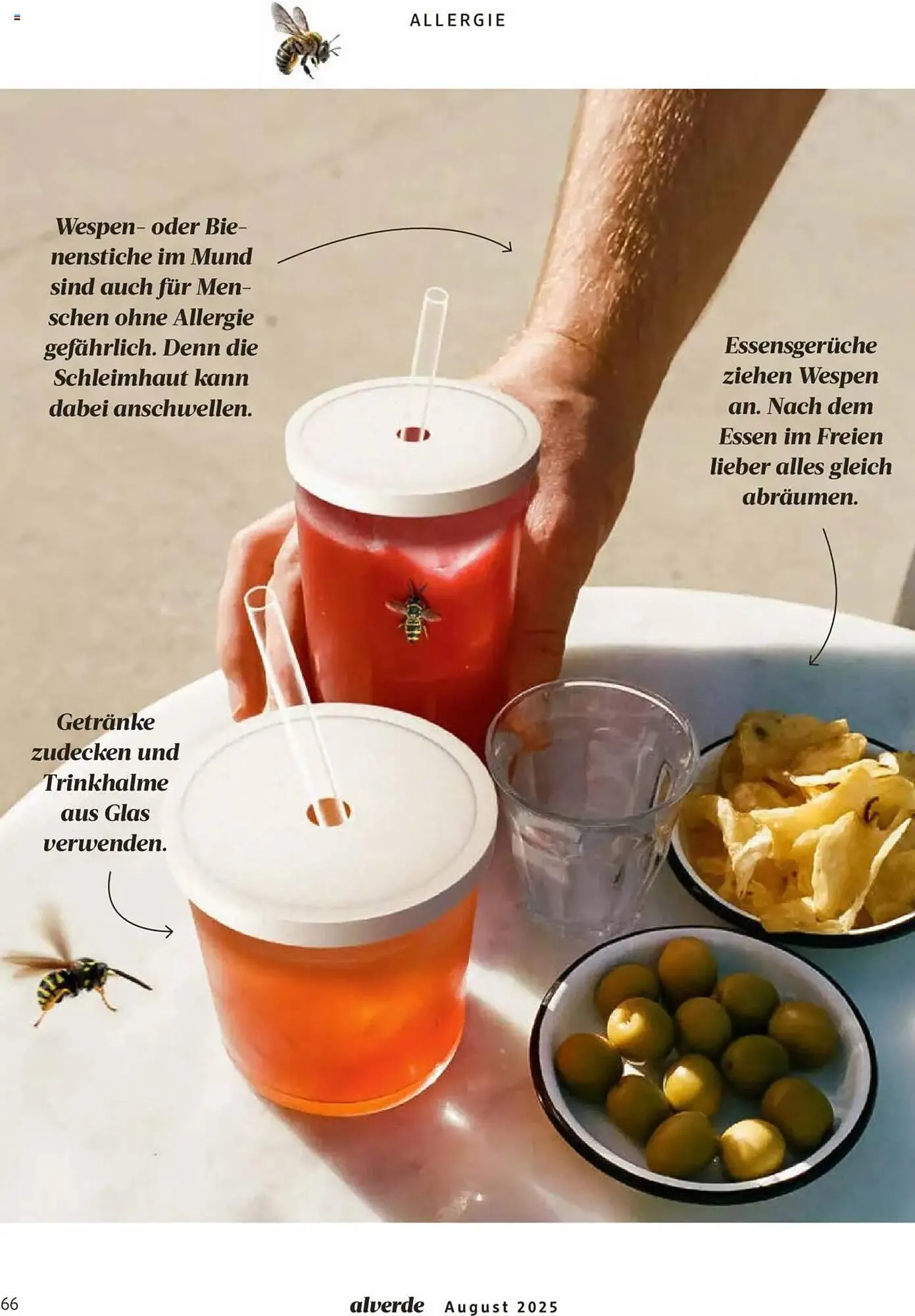 dm drogerie Prospekt von 1. August bis 31. August 2025 - Prospekt seite 66