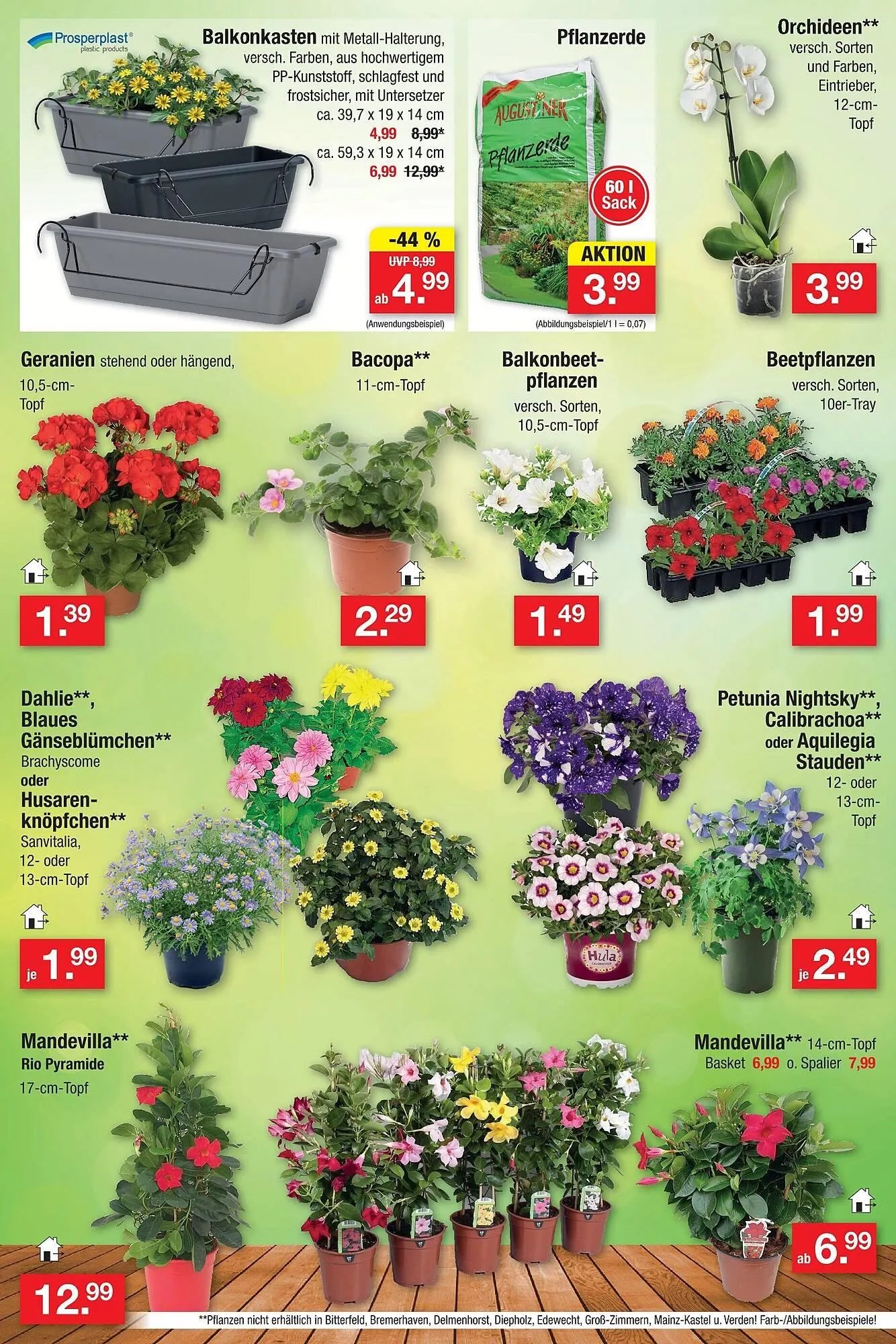 Zimmermann Prospekt von 7. April bis 11. April 2026 - Prospekt seite 13