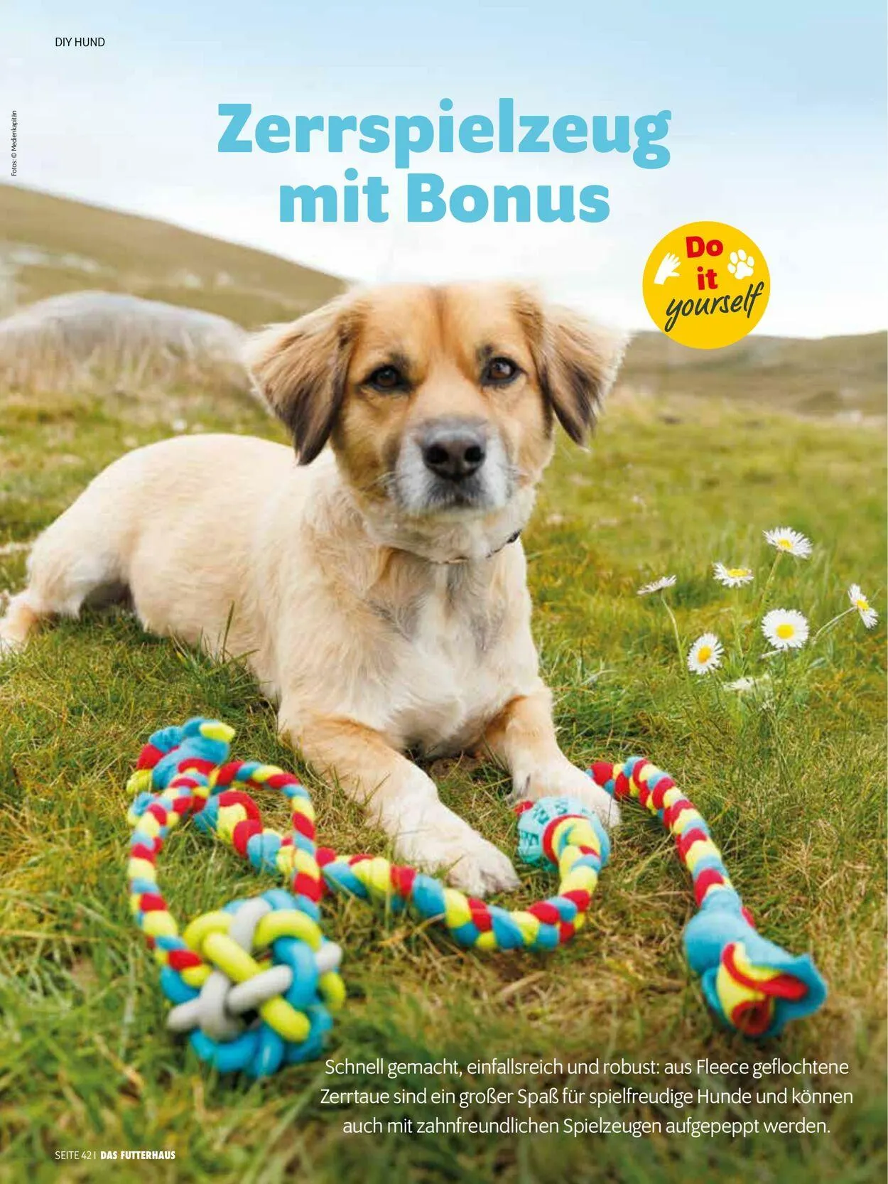 Futterhaus Aktueller Prospekt von 1. Juni bis 30. Juni 2025 - Prospekt seite 42