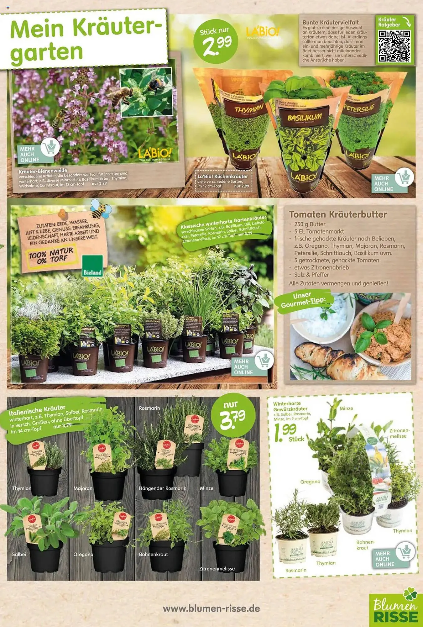 Blumen Risse Prospekt von 27. März bis 6. April 2025 - Prospekt seite 3