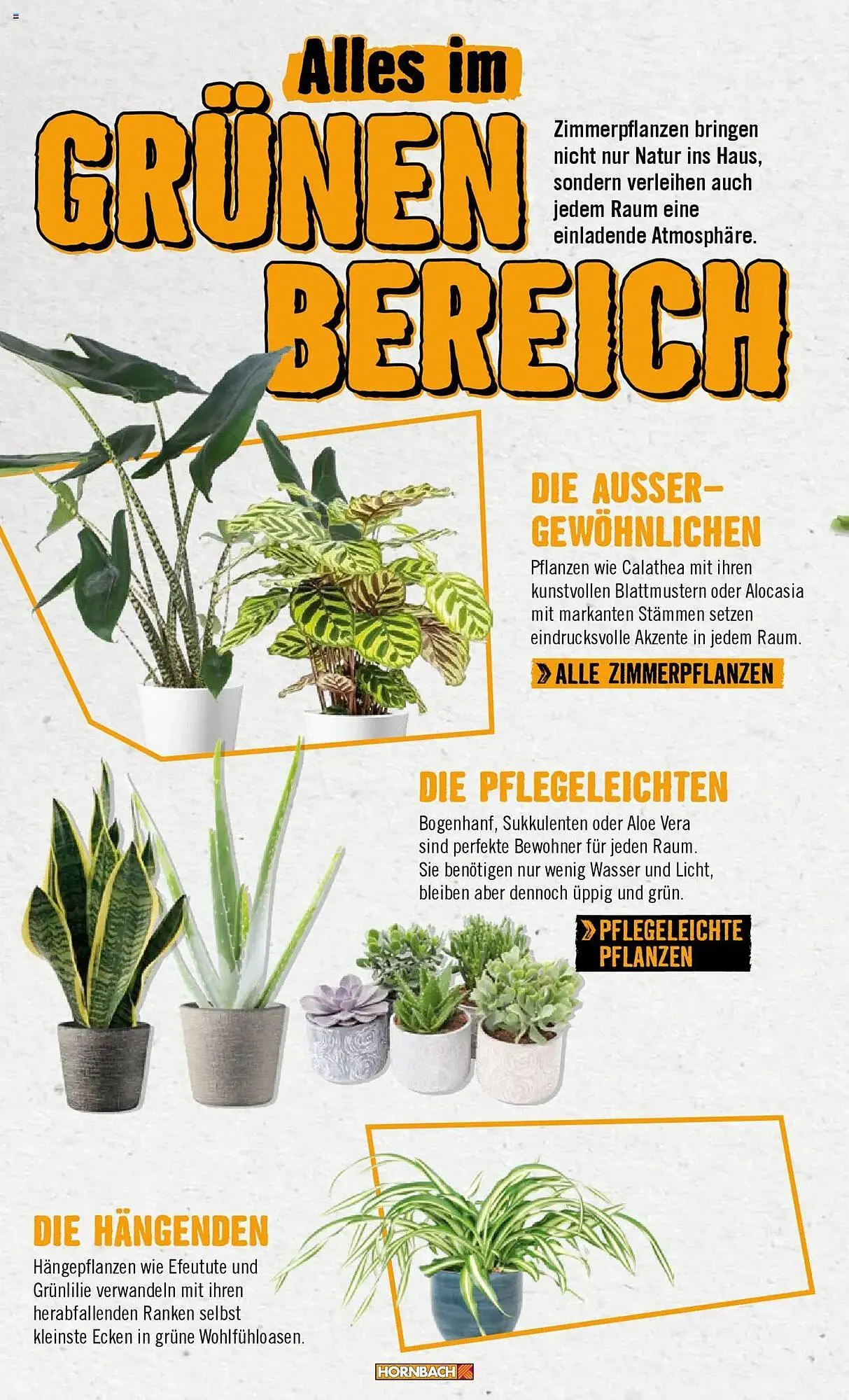 Hornbach Prospekt von 8. Juni bis 31. Dezember 2025 - Prospekt seite 24