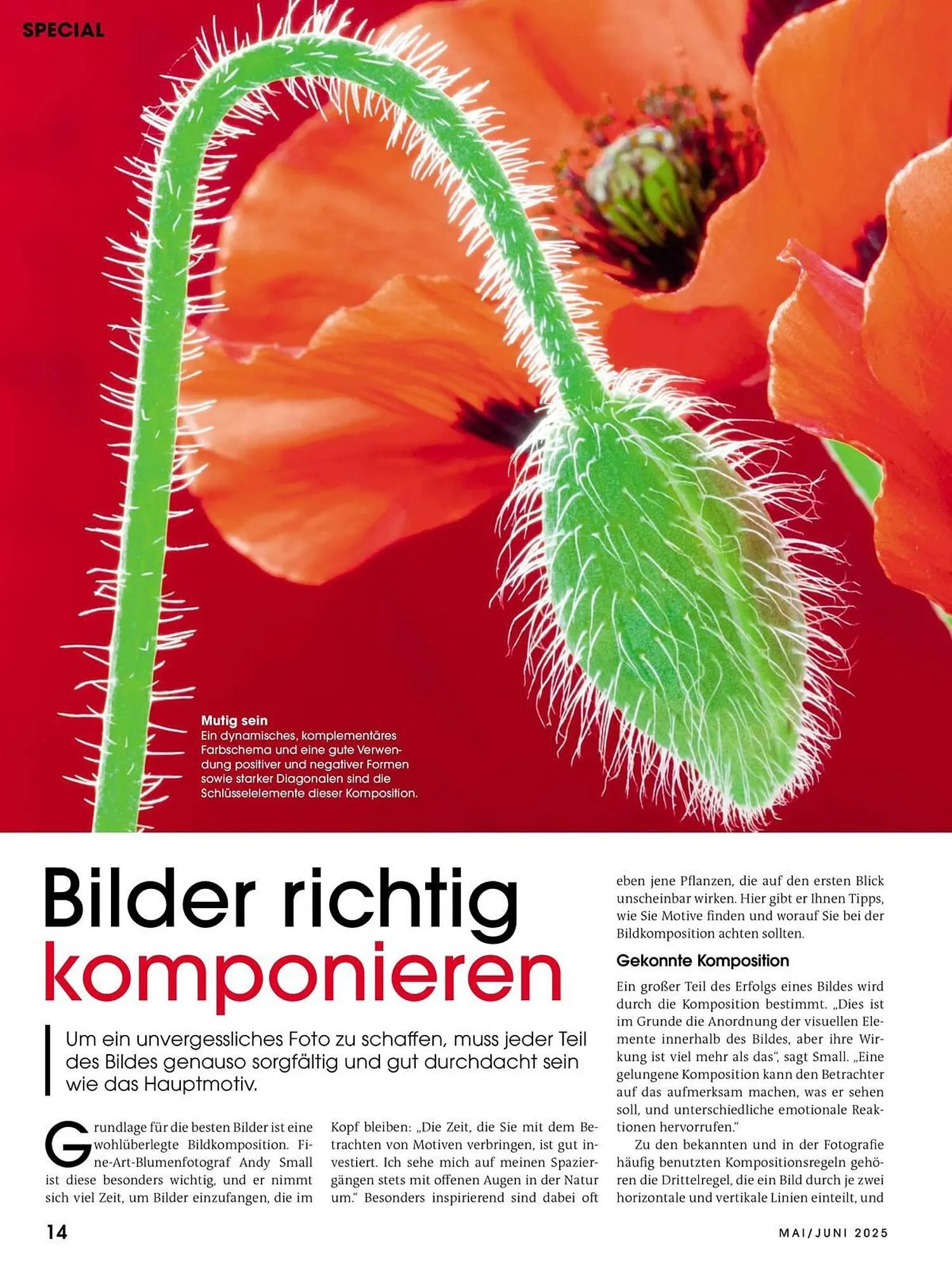 Ringfoto Prospekt von 22. Mai bis 30. Juni 2025 - Prospekt seite 14