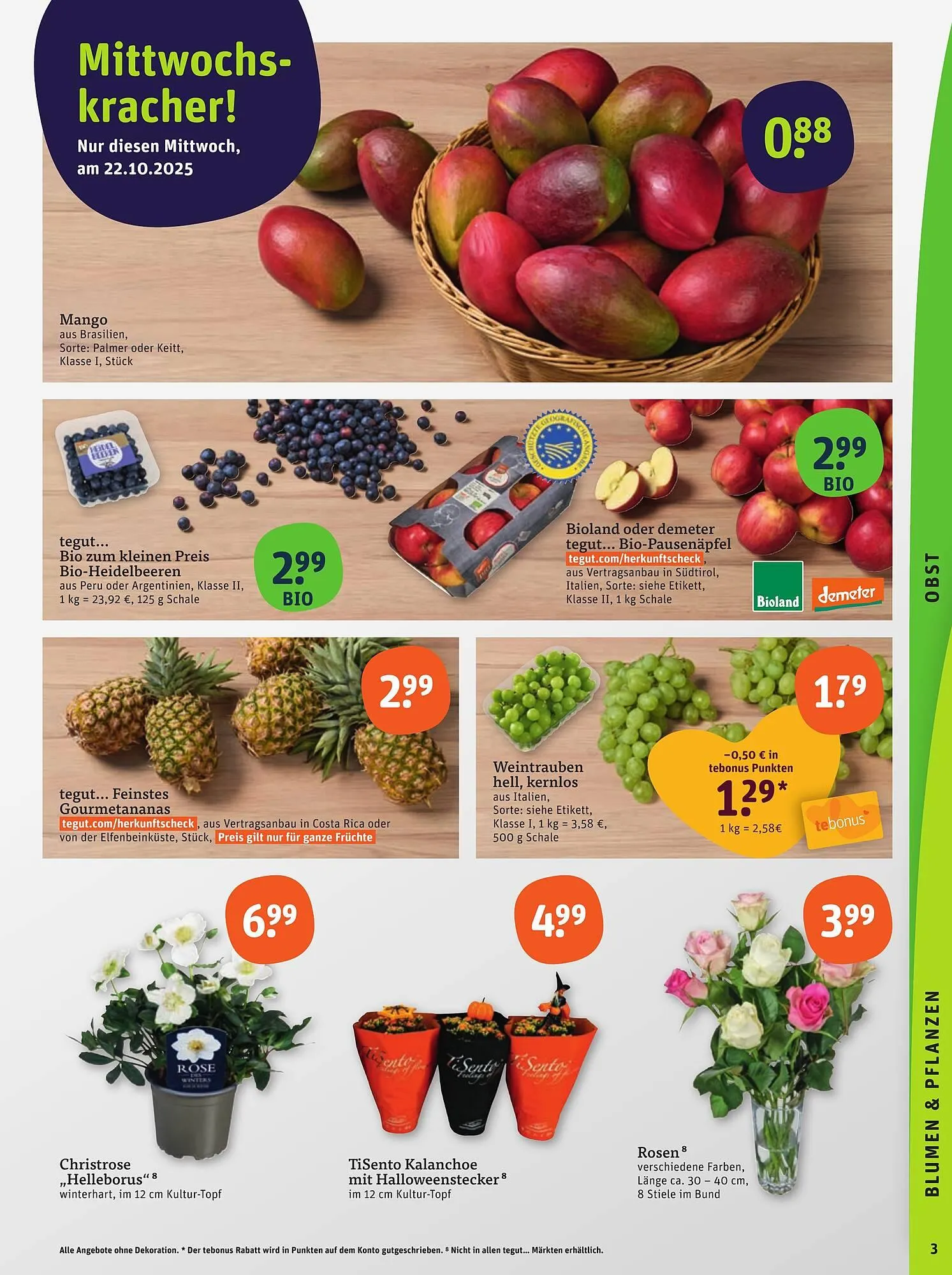 Basic Prospekt von 23. Oktober bis 25. Oktober 2025 - Prospekt seite 5