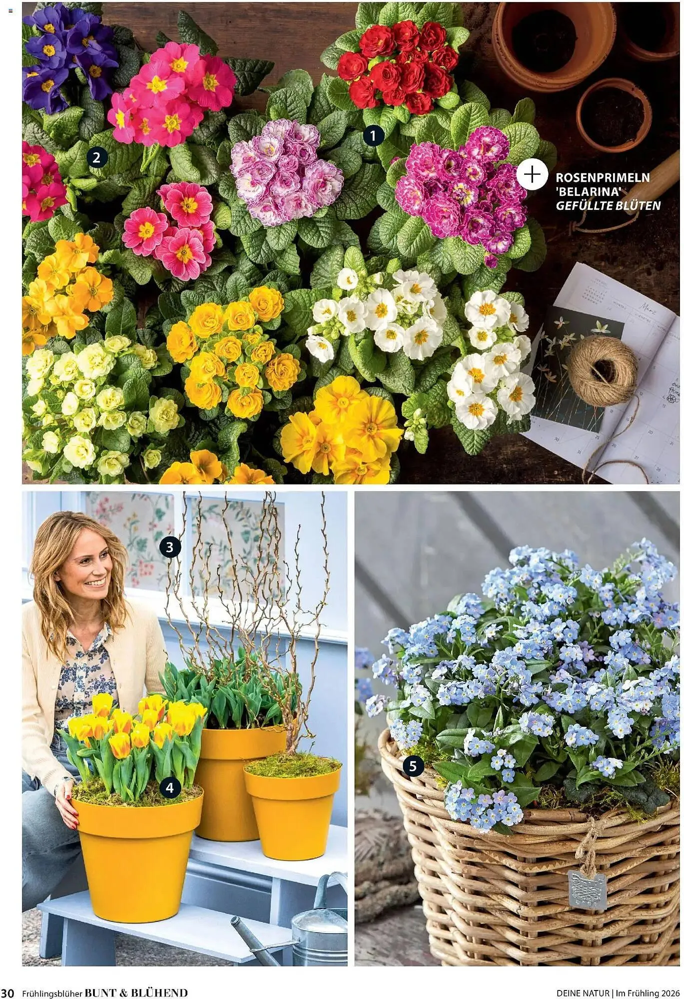 Dehner Prospekt von 4. März bis 31. Mai 2026 - Prospekt seite 30