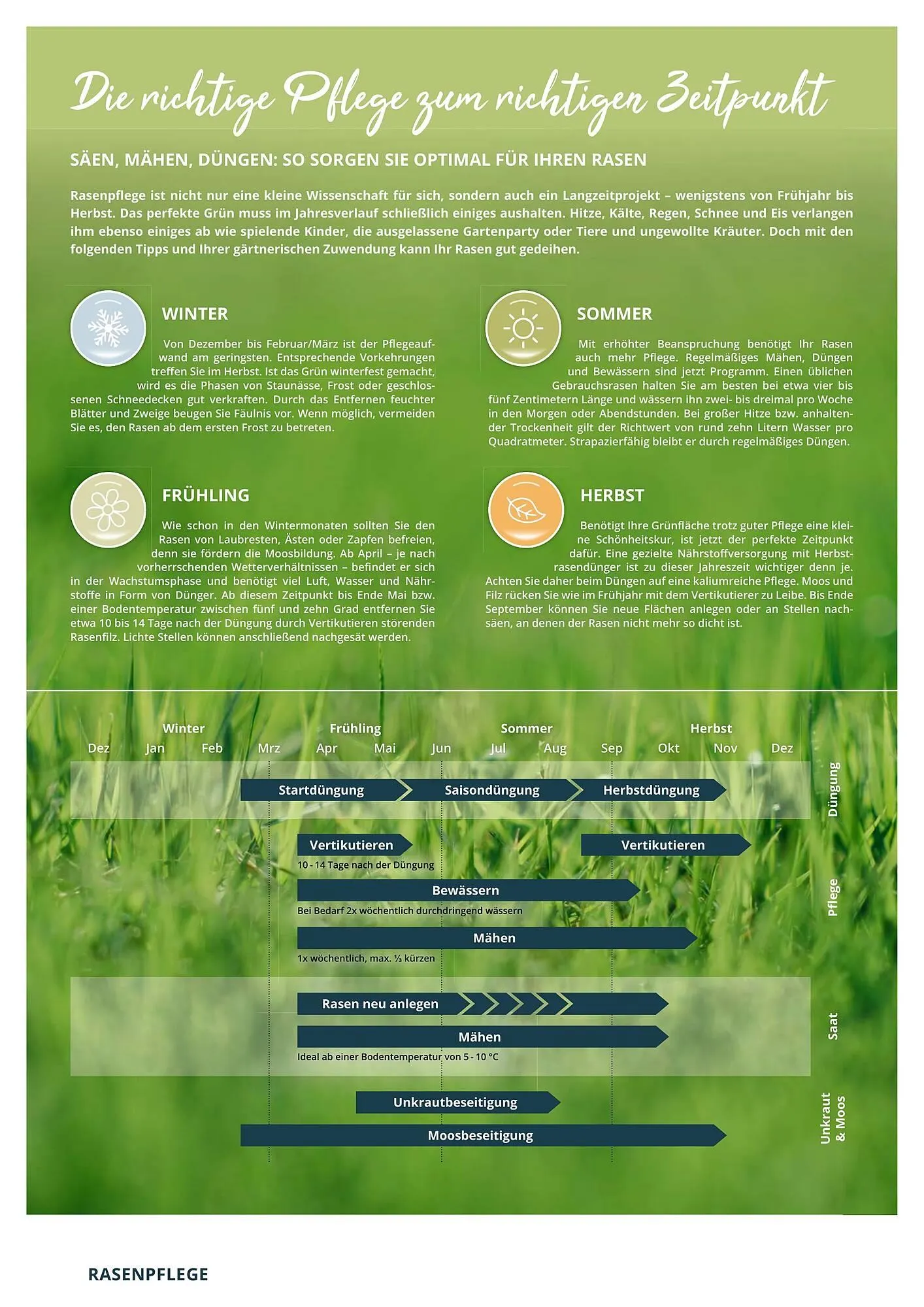 BBM Baumarkt Prospekt von 20. April bis 31. Dezember 2025 - Prospekt seite 2