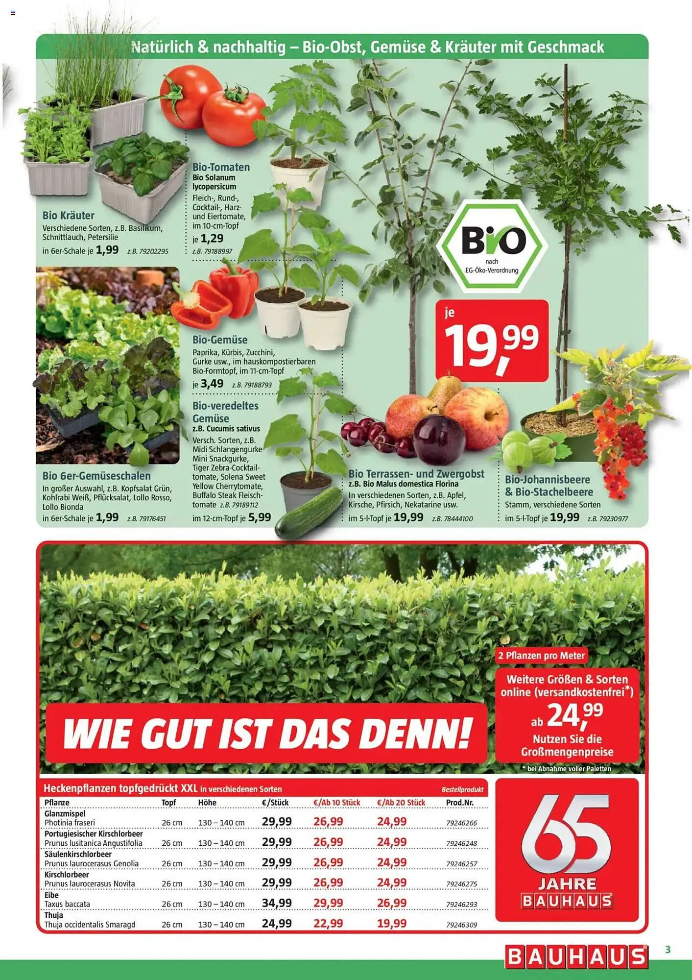 Bauhaus Prospekt von 12. April bis 3. Mai 2025 - Prospekt seite 3