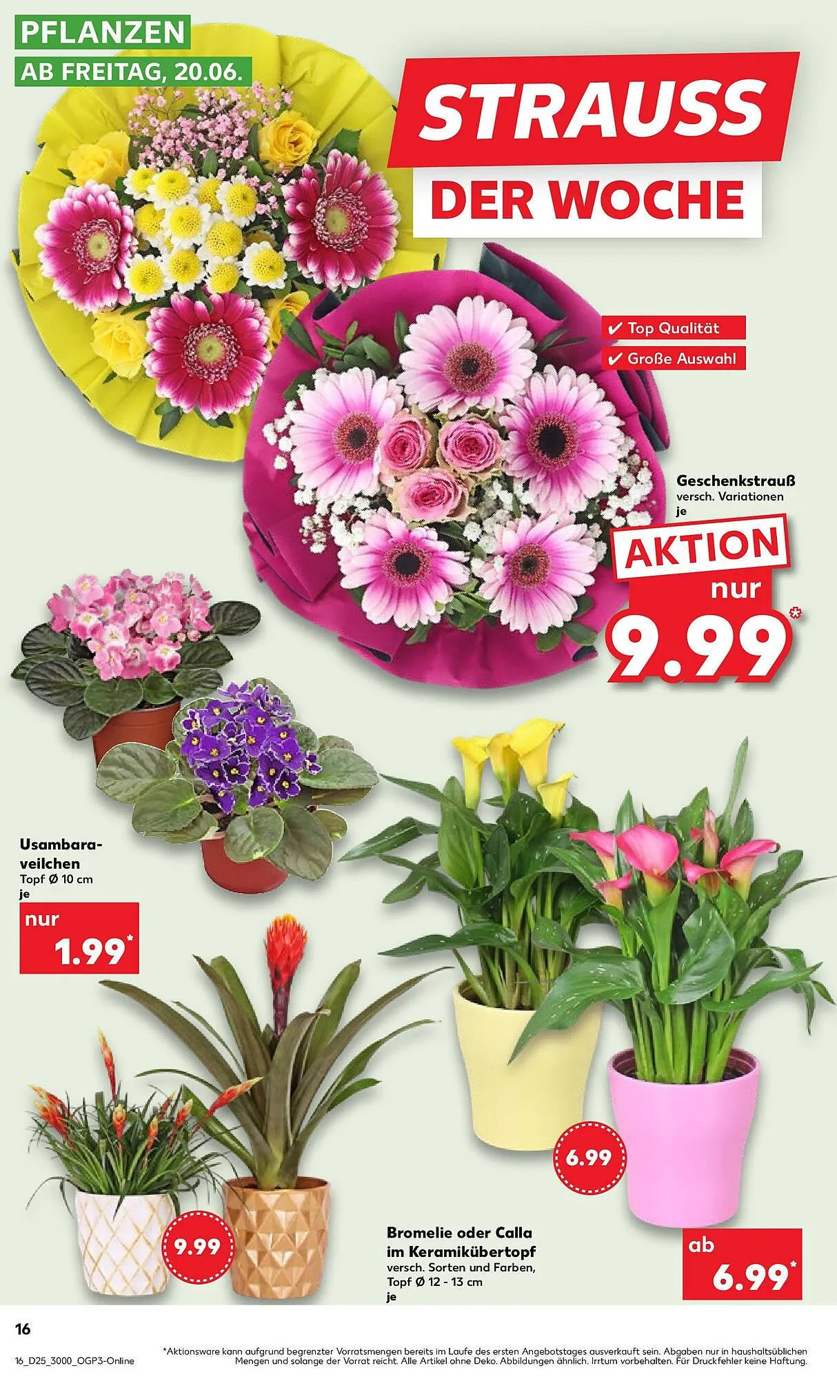 Kaufland Prospekt von 22. Juni bis 25. Juni 2025 - Prospekt seite 33