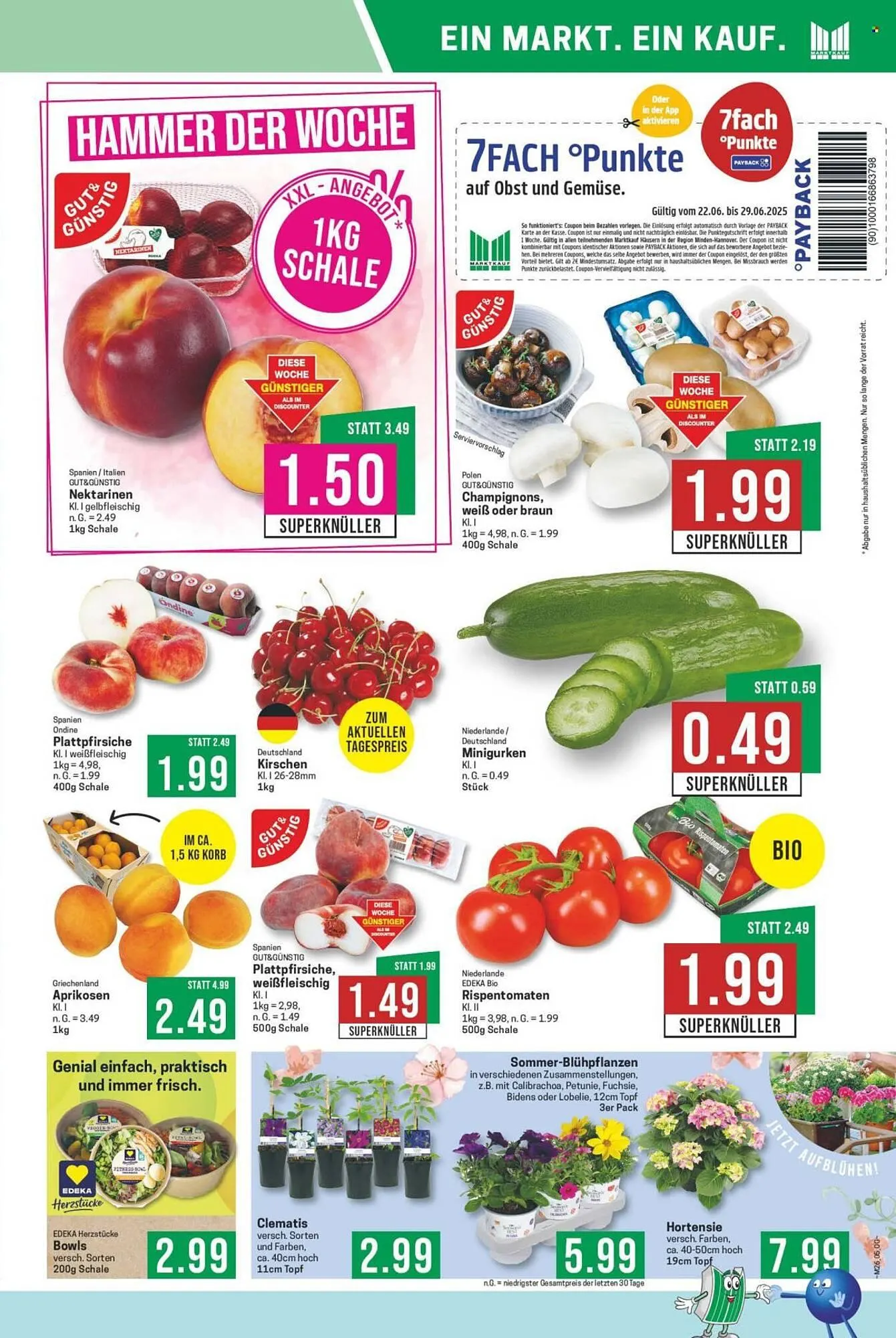 Marktkauf Prospekt von 23. Juni bis 28. Juni 2025 - Prospekt seite 5