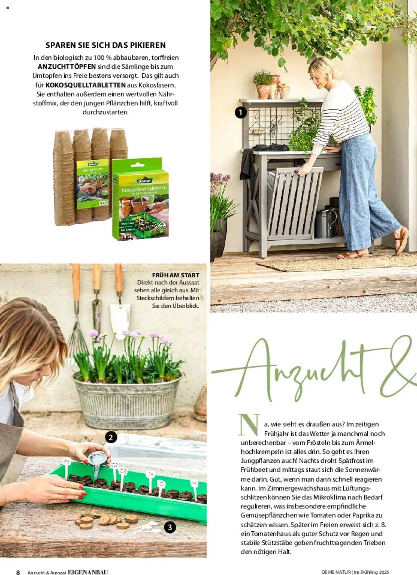 Dehner Prospekt von 6. März bis 9. Juni 2025 - Prospekt seite 8