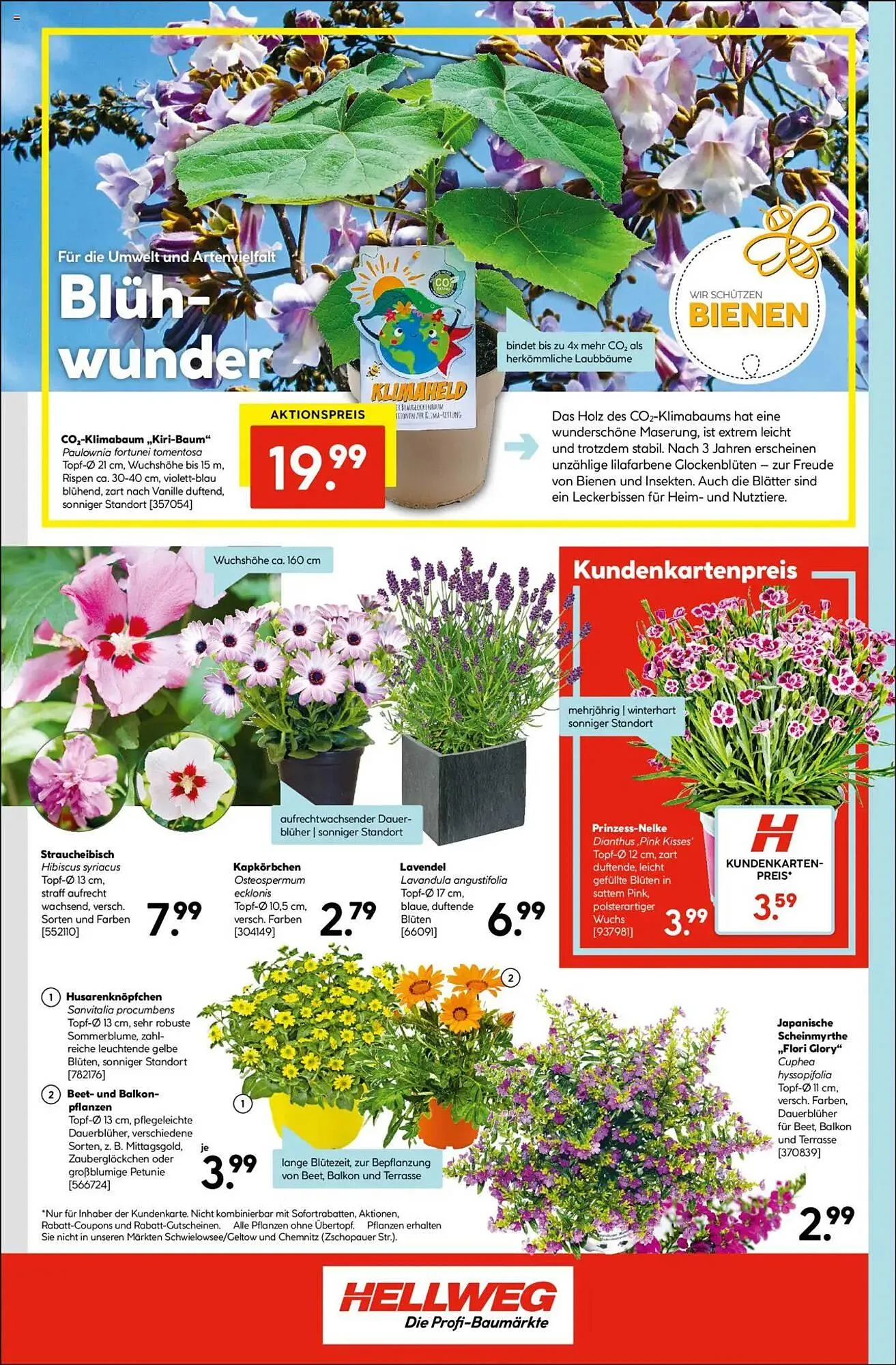 Hellweg Prospekt von 2. Juni bis 7. Juni 2025 - Prospekt seite 12