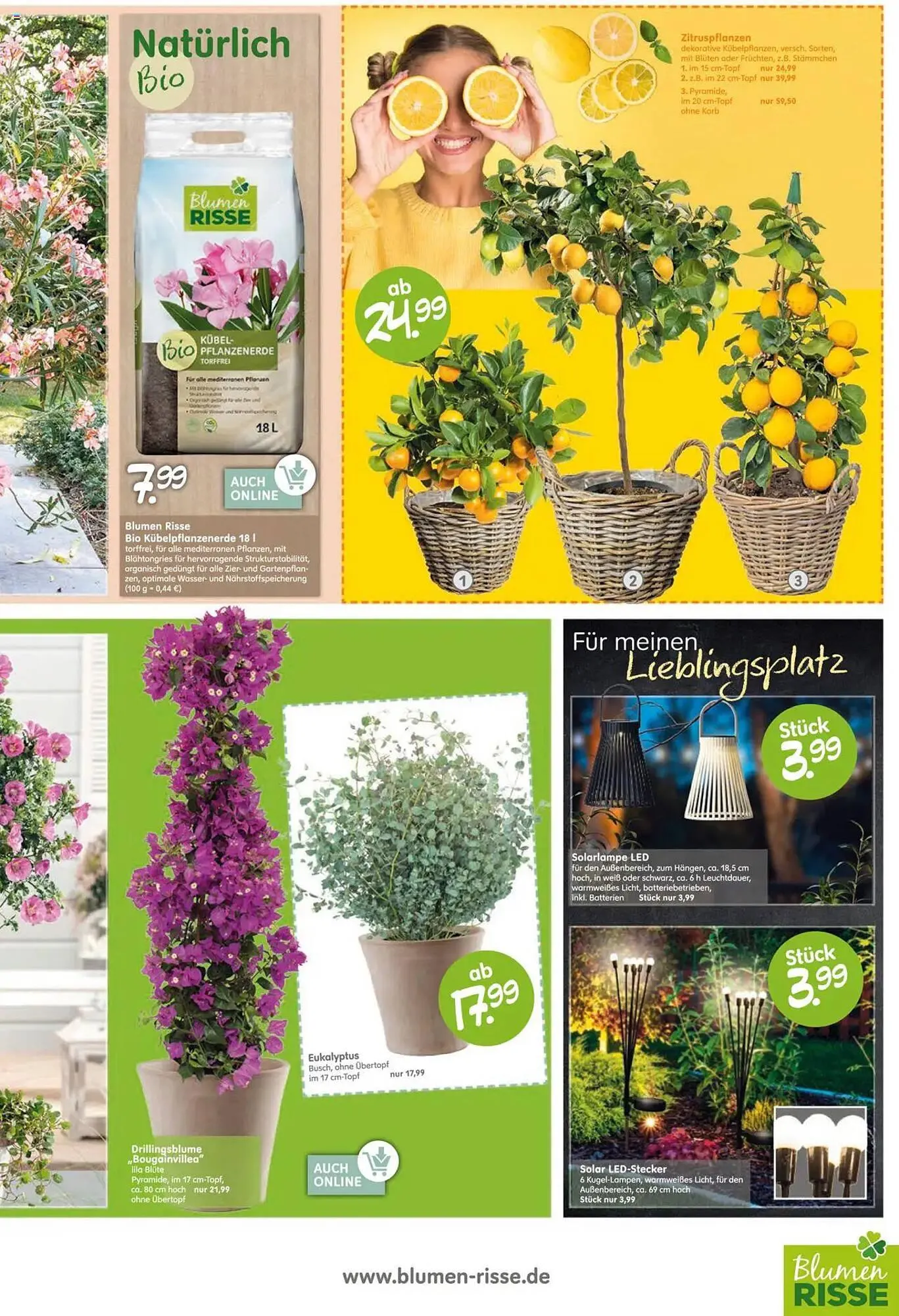 Blumen Risse Prospekt von 26. April bis 7. Mai 2025 - Prospekt seite 7