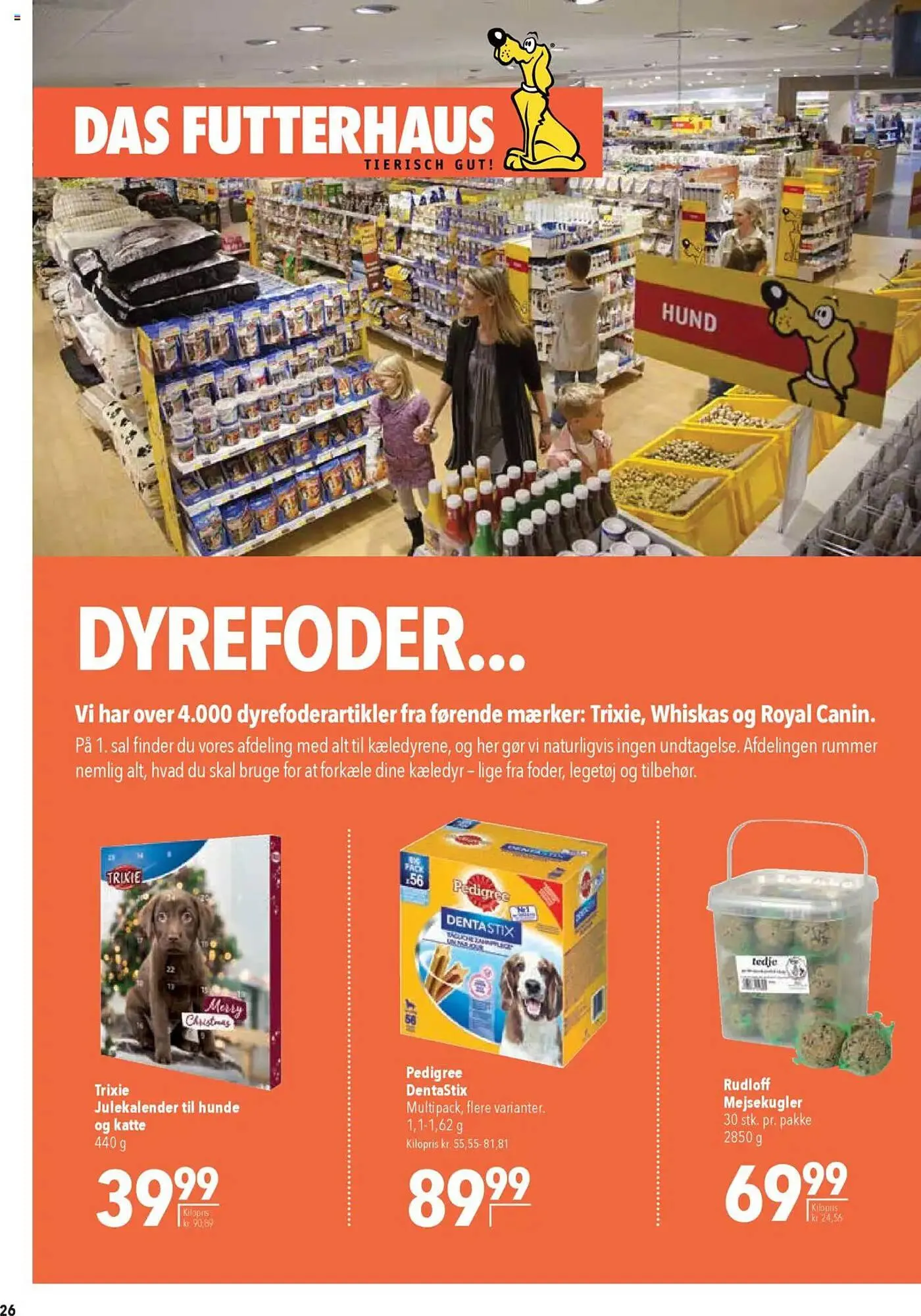 CITTI Markt Prospekt von 8. Oktober bis 28. Oktober 2025 - Prospekt seite 26