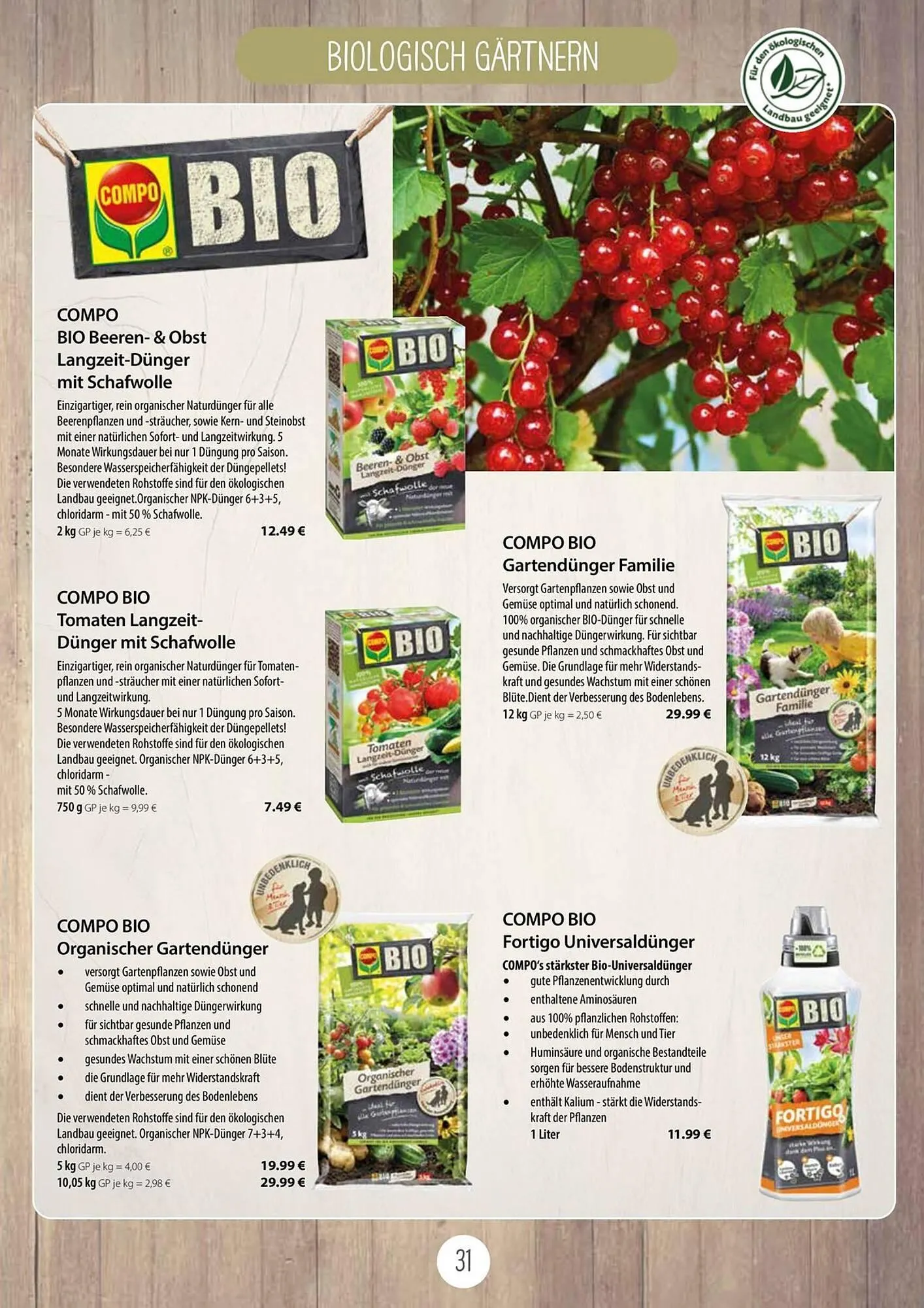 Kiebitzmarkt Prospekt von 16. April bis 31. August 2025 - Prospekt seite 31