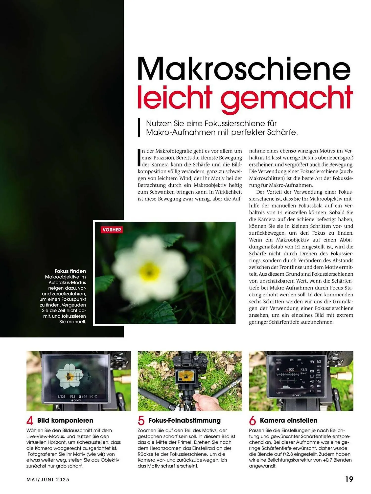 Ringfoto Prospekt von 22. Mai bis 30. Juni 2025 - Prospekt seite 19