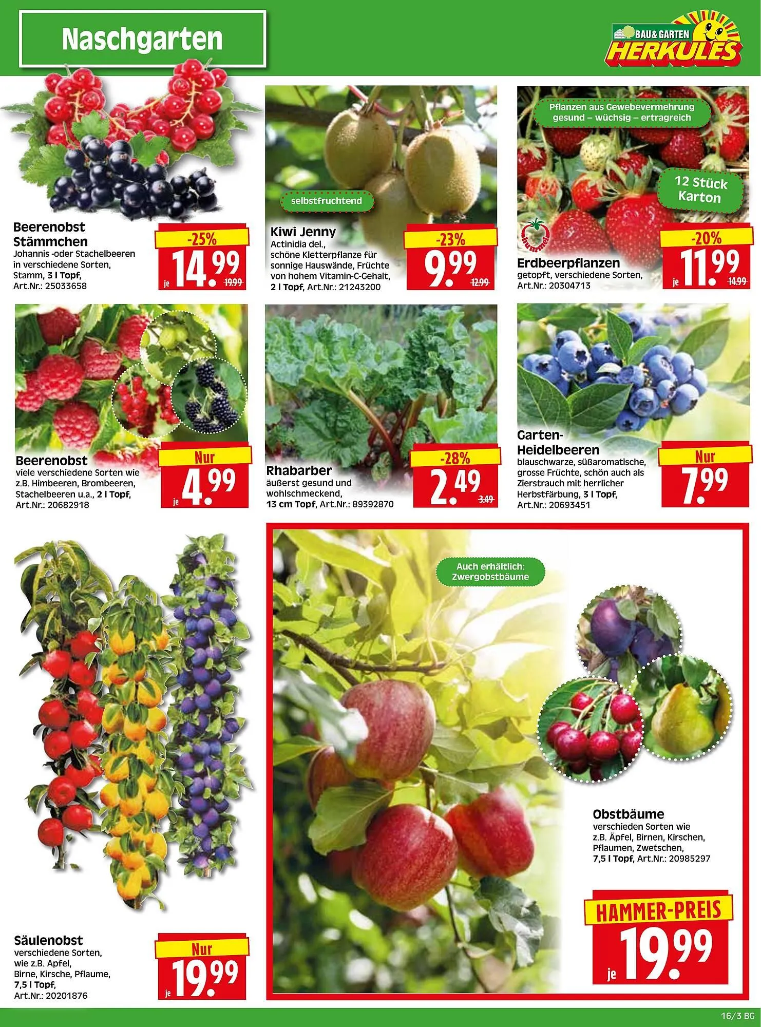 Herkules Baumarkt Prospekt von 14. April bis 19. April 2025 - Prospekt seite 3