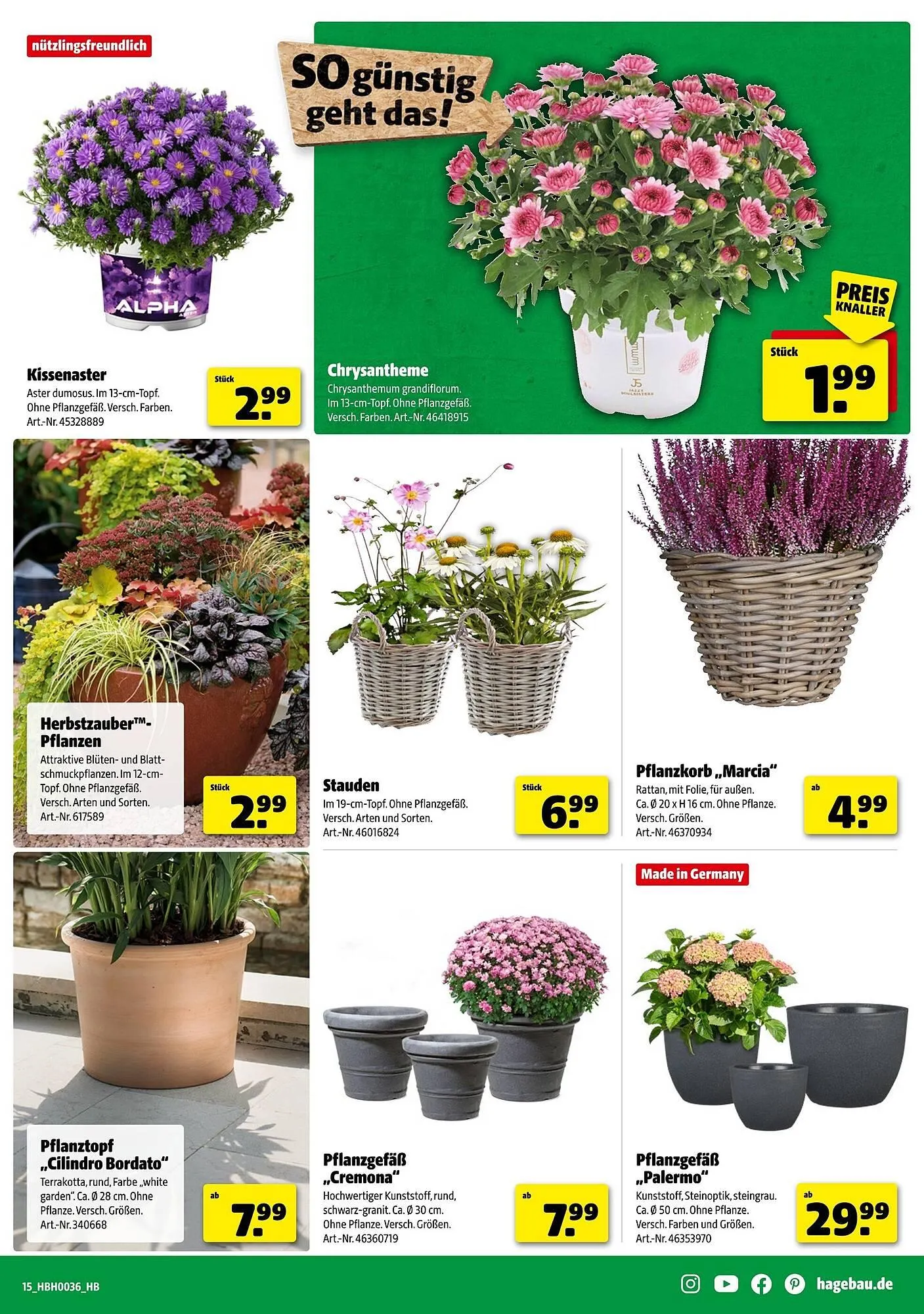 Hagebau Prospekt von 30. August bis 6. September 2025 - Prospekt seite 15