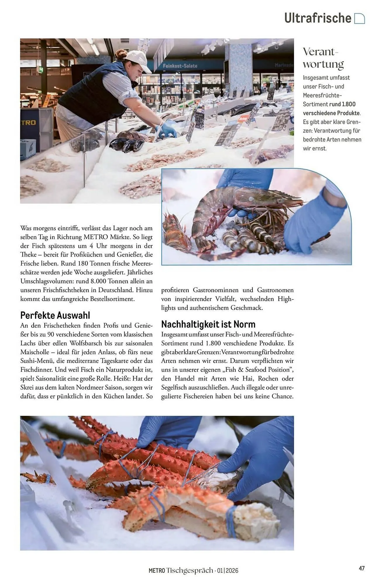 METRO Prospekt von 1. Februar bis 28. Februar 2026 - Prospekt seite 47