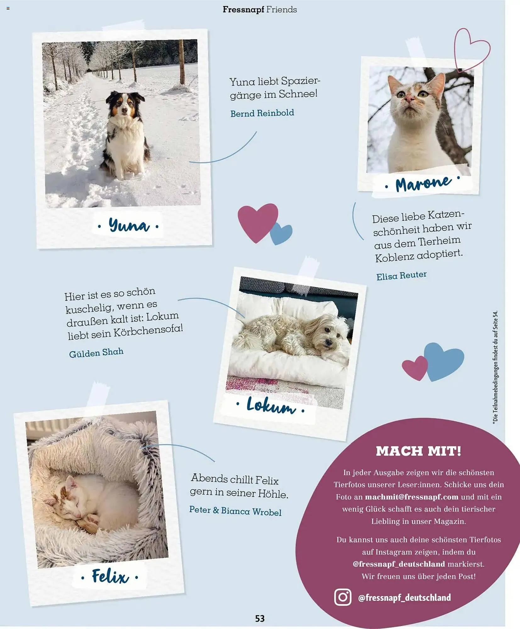 Fressnapf Magazin von 1. Januar bis 28. Februar 2026 - Prospekt seite 53