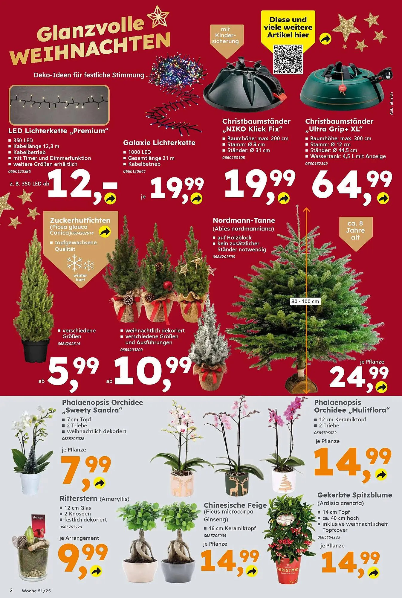 Globus Baumarkt Prospekt von 14. Dezember bis 20. Dezember 2025 - Prospekt seite 2