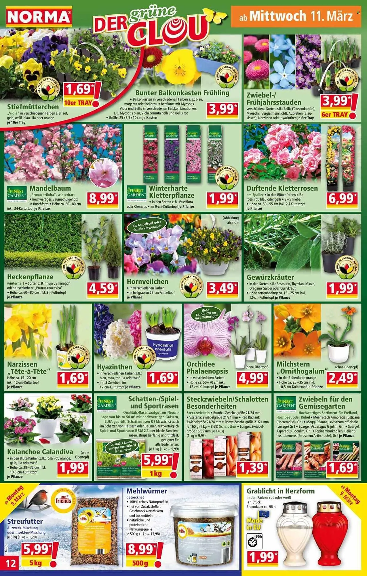 Norma Prospekt von 9. März bis 15. März 2026 - Prospekt seite 12