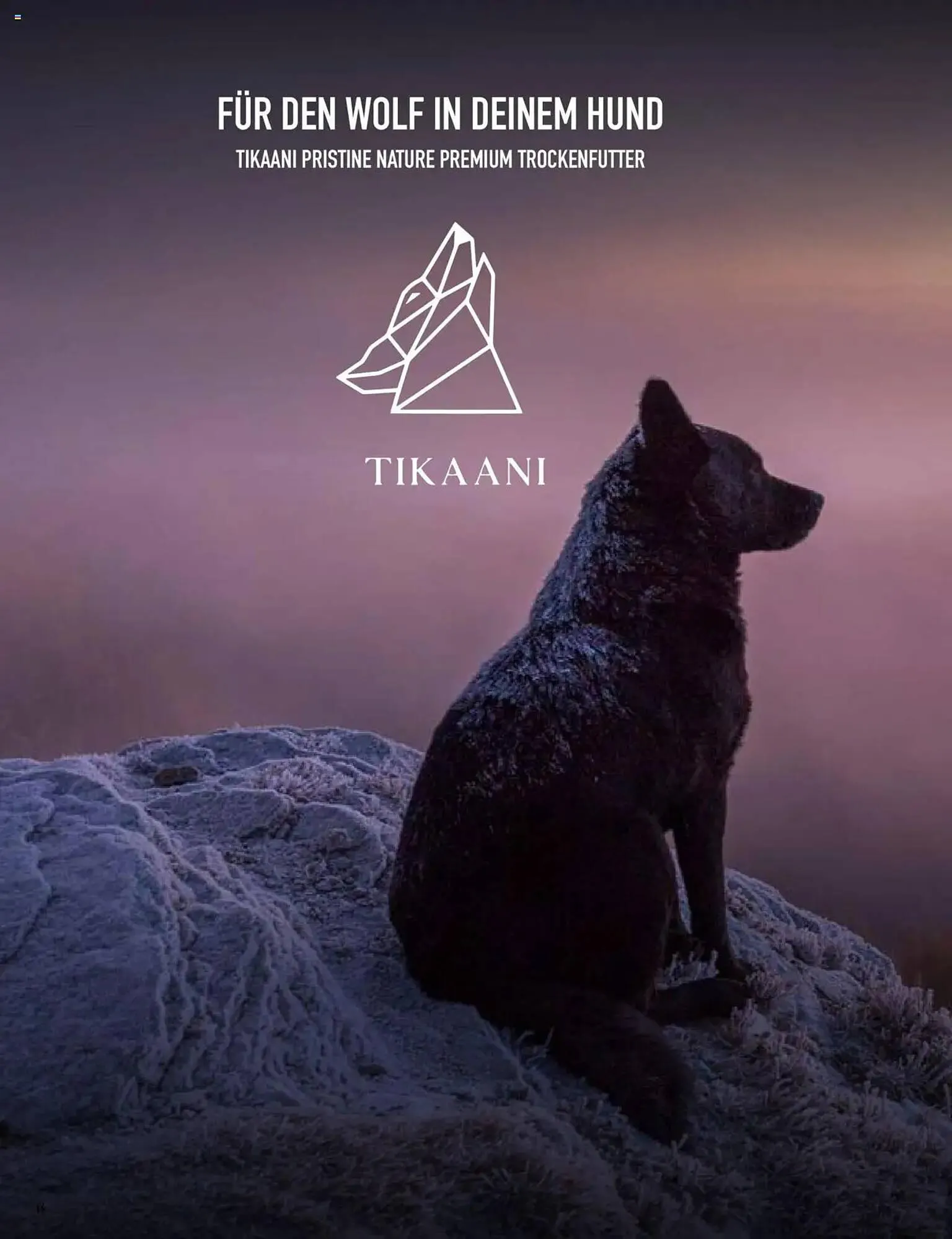 Kölle Zoo Prospekt von 30. Januar bis 5. Februar 2025 - Prospekt seite 16