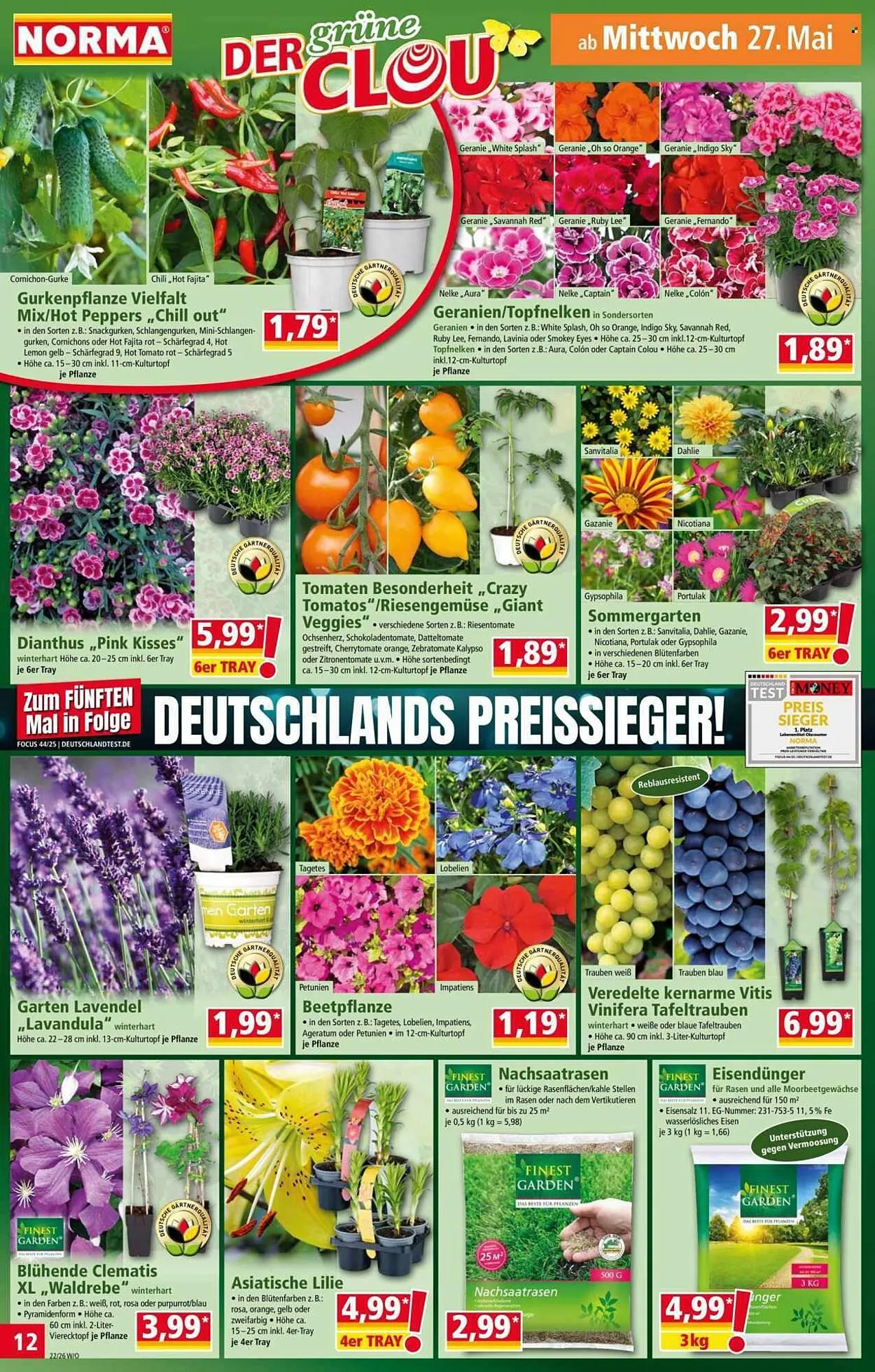 Norma Prospekt von 26. Mai bis 31. Mai 2026 - Prospekt seite 12