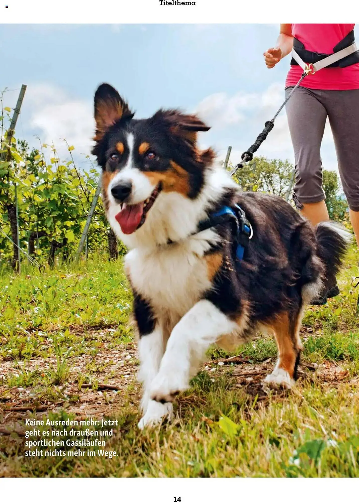 Fressnapf Prospekt von 1. März bis 2. Mai 2025 - Prospekt seite 14