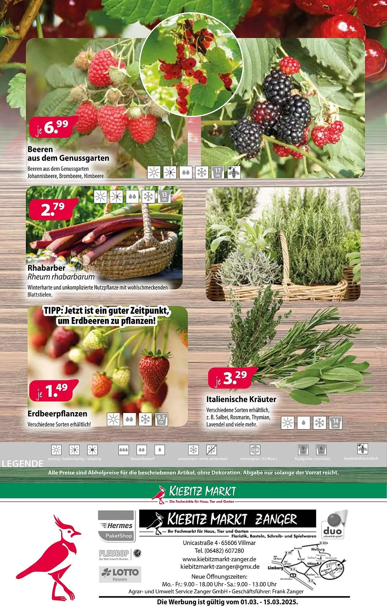 Kiebitzmarkt Prospekt von 8. März bis 15. März 2025 - Prospekt seite 4