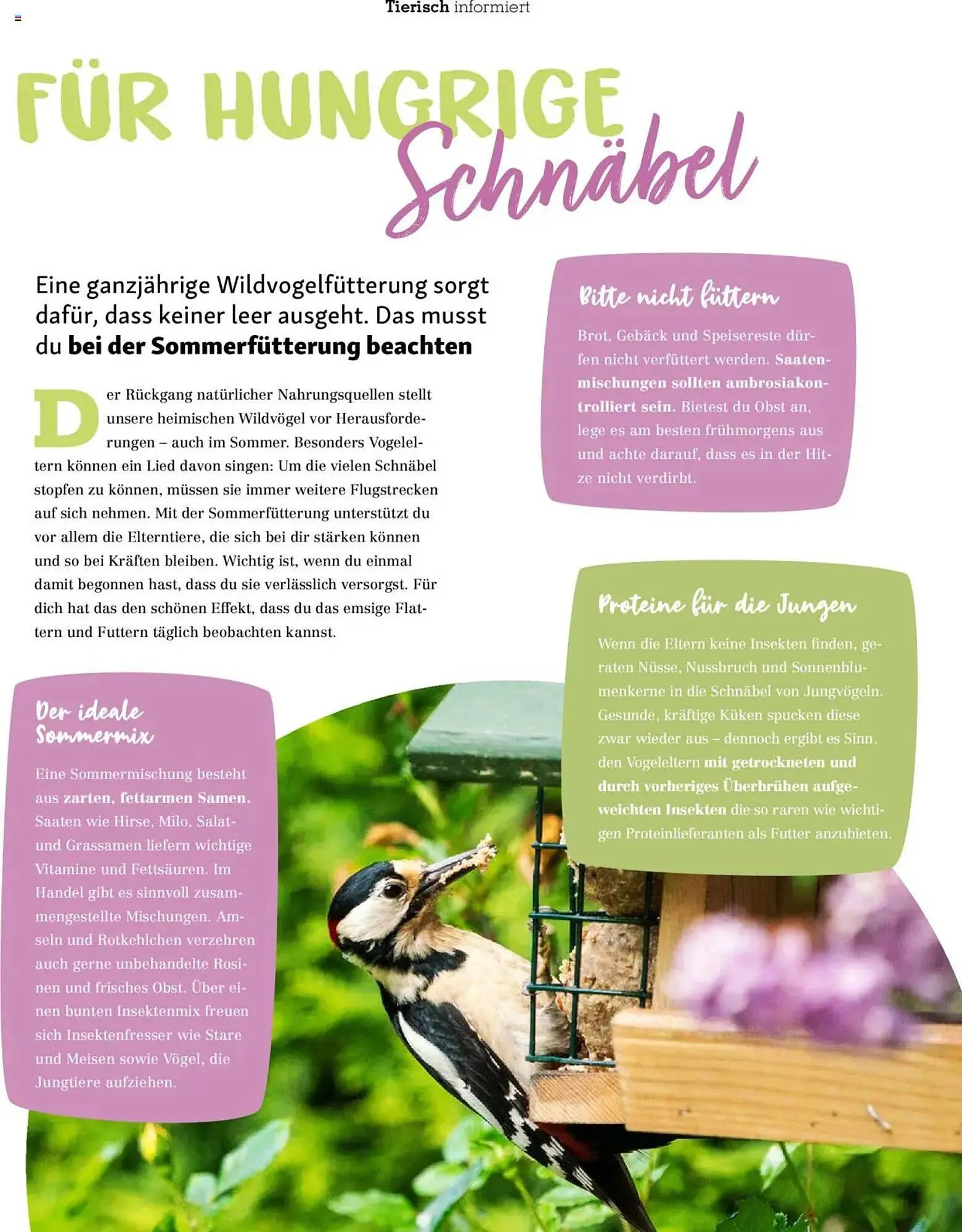 Fressnapf Prospekt von 1. Mai bis 30. Juni 2025 - Prospekt seite 32