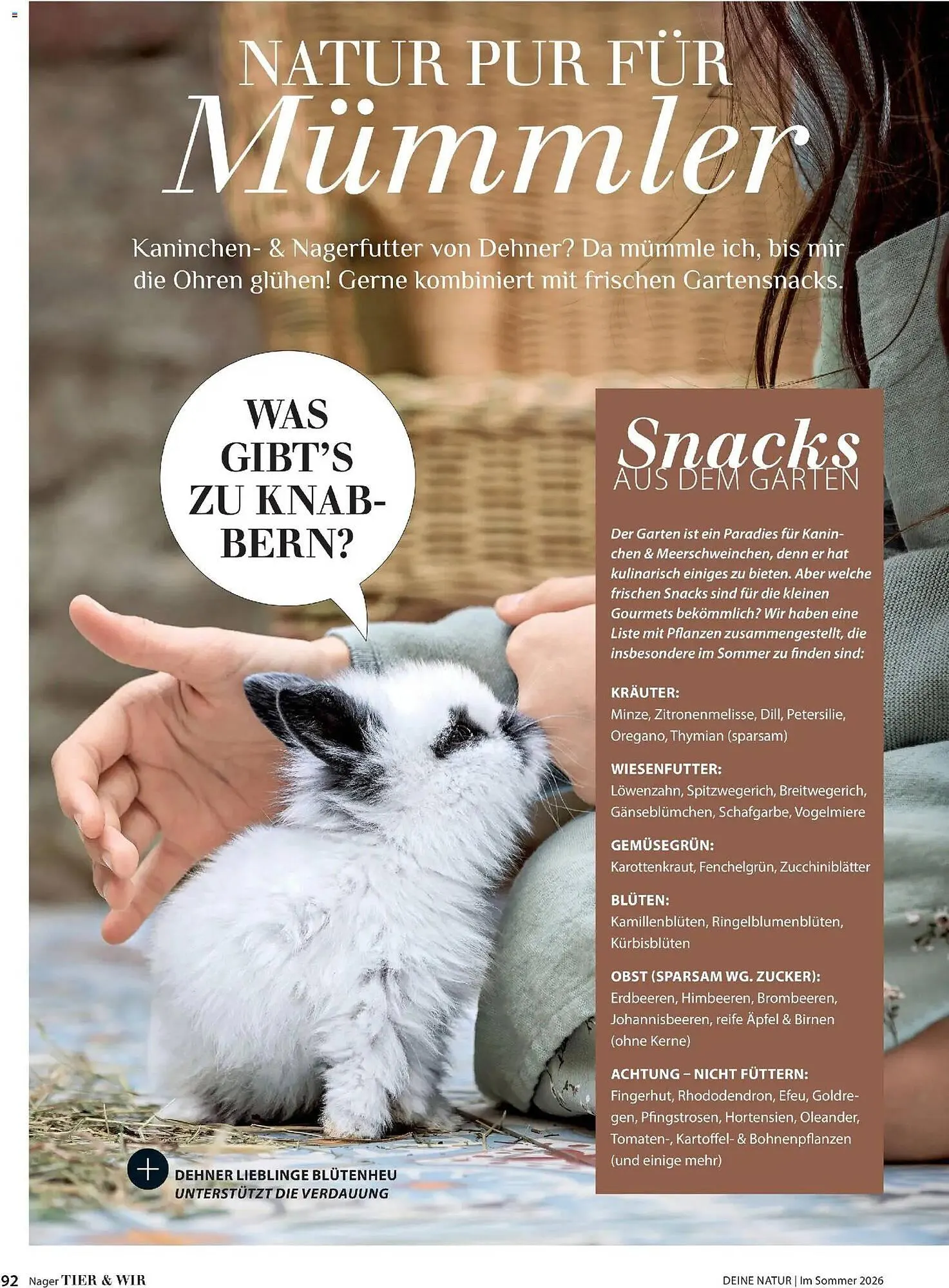 Dehner Prospekt von 17. April bis 31. August 2026 - Prospekt seite 92