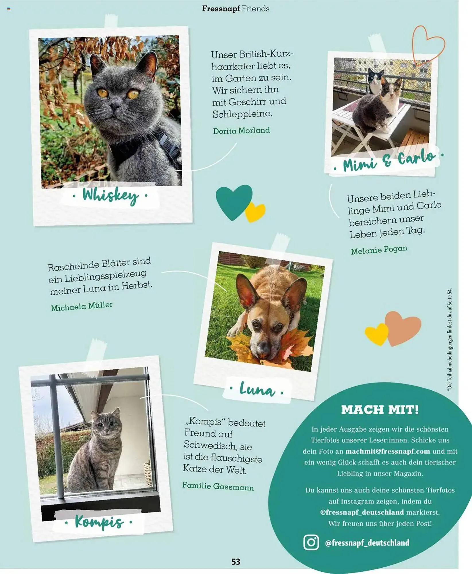 Fressnapf Magazin von 1. September bis 31. Oktober 2025 - Prospekt seite 53