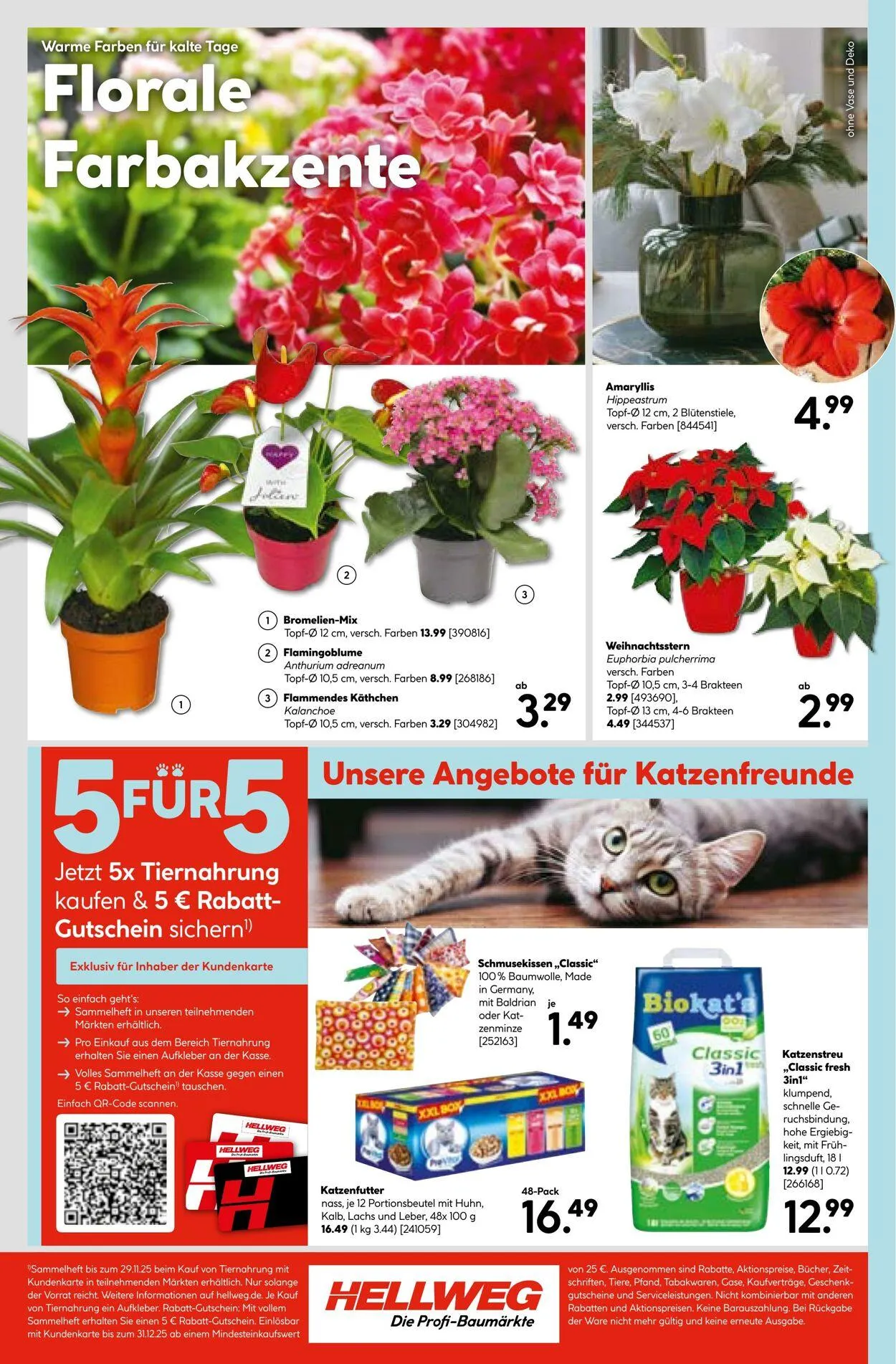 Hellweg Aktueller Prospekt von 2. März bis 16. März 2026 - Prospekt seite 24