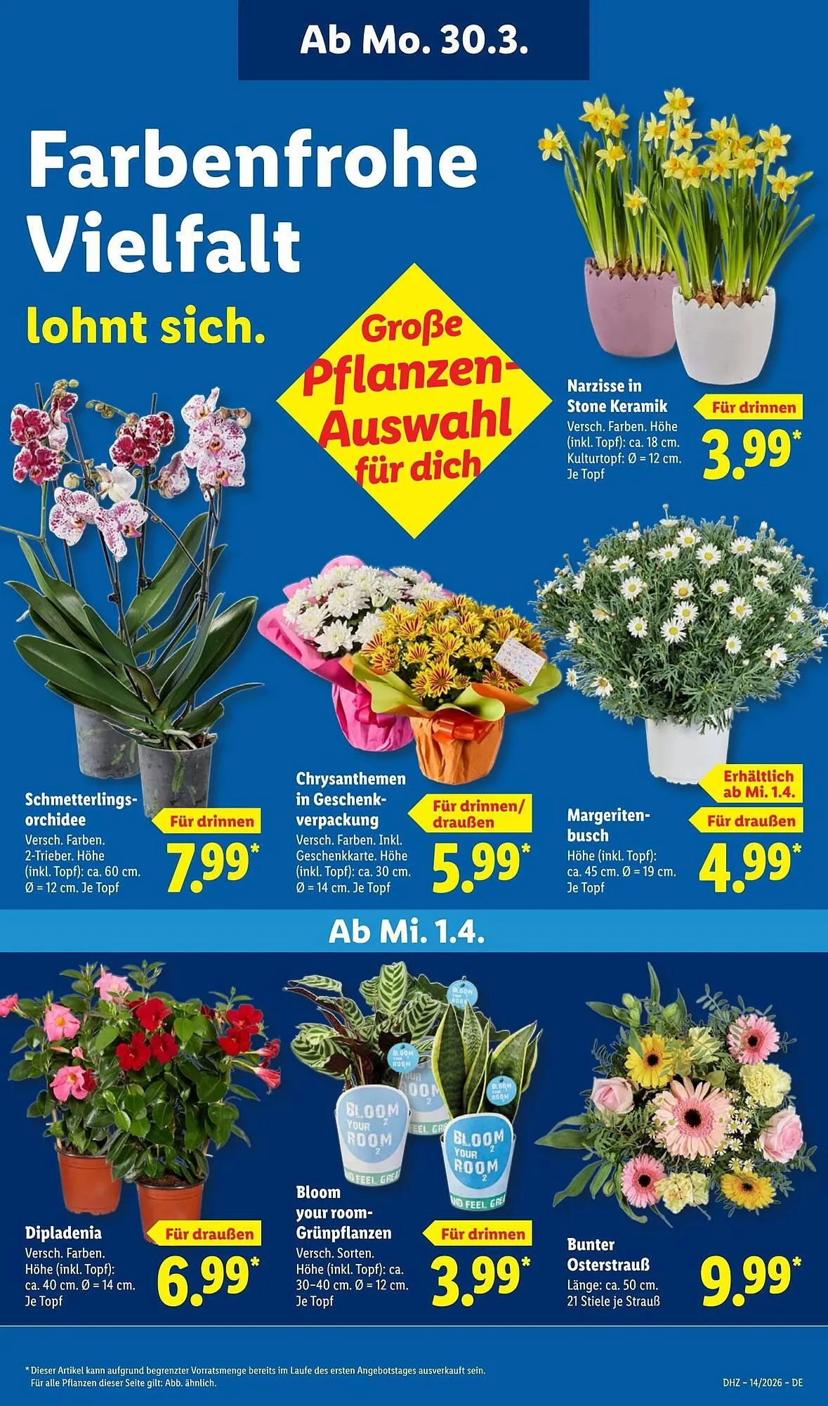Lidl Prospekt von 30. März bis 5. April 2026 - Prospekt seite 31