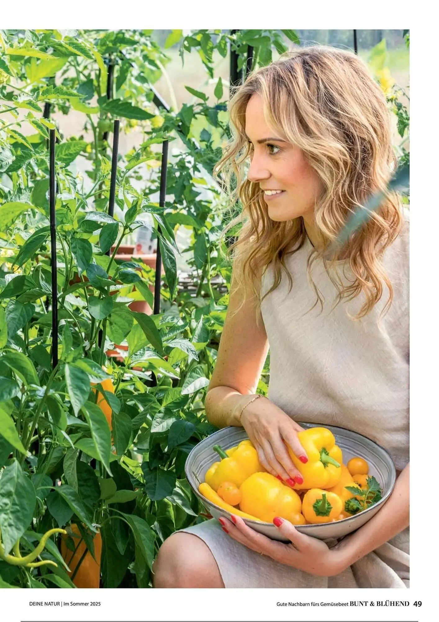 Dehner Prospekt von 1. Juli bis 31. Dezember 2025 - Prospekt seite 49