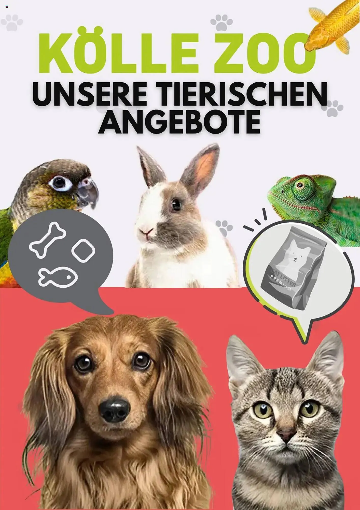 Kölle Zoo Prospekt - 1