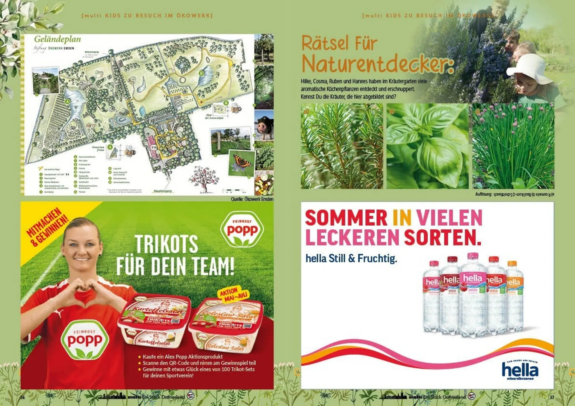 Multi Markt Prospekt von 28. Juli bis 2. August 2025 - Prospekt seite 39