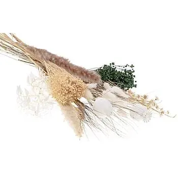 Trockenblumenmix "Natur Look", natur-weiß-grün