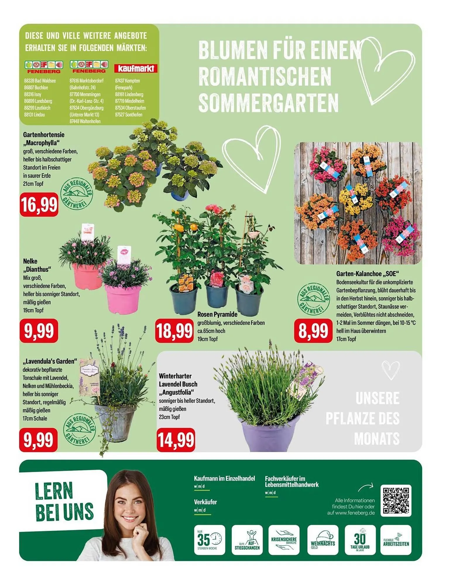 Feneberg Prospekt von 5. Juni bis 7. Juni 2025 - Prospekt seite 13