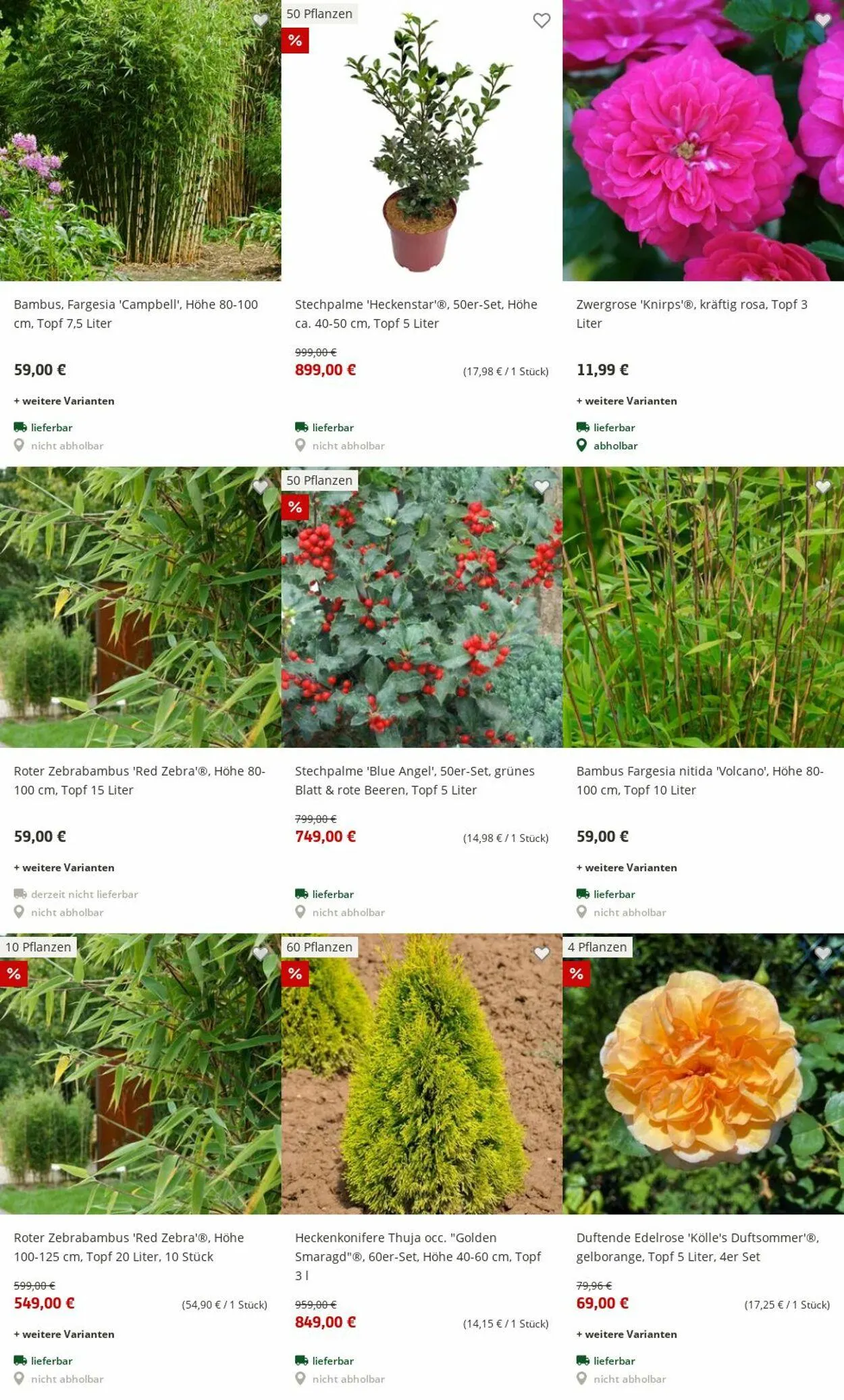 Pflanzen-Kölle Aktueller Prospekt von 30. Juni bis 9. Juli 2025 - Prospekt seite 6