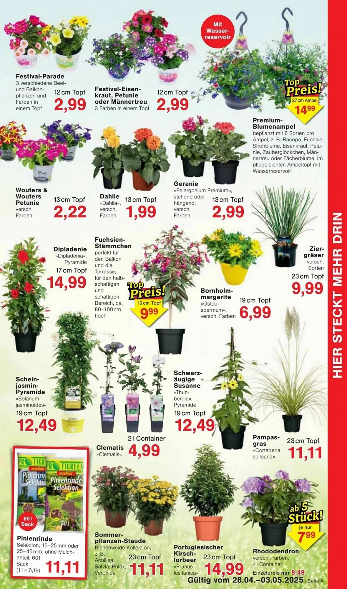 Jawoll Prospekt von 28. April bis 4. Mai 2025 - Prospekt seite 7