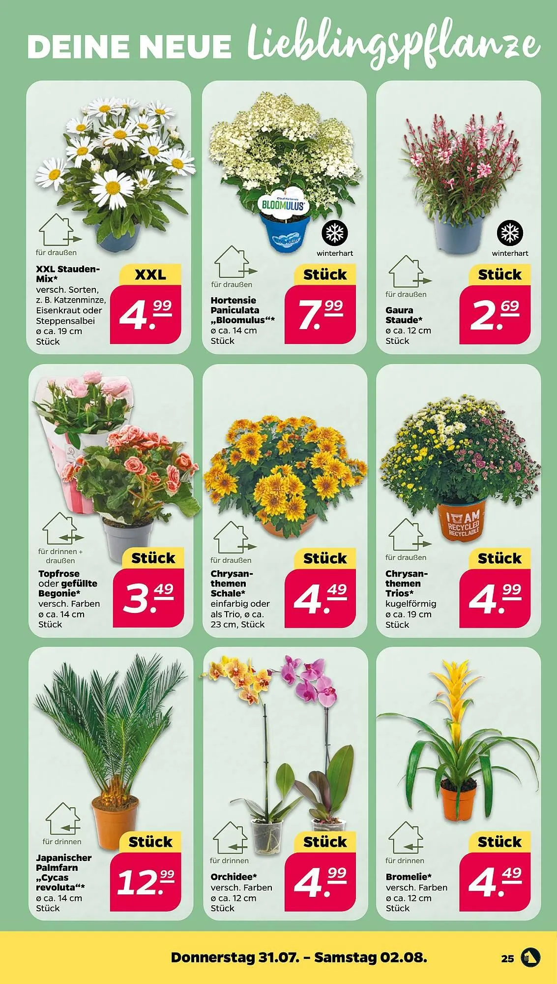 NETTO Prospekt von 28. Juli bis 2. August 2025 - Prospekt seite 27