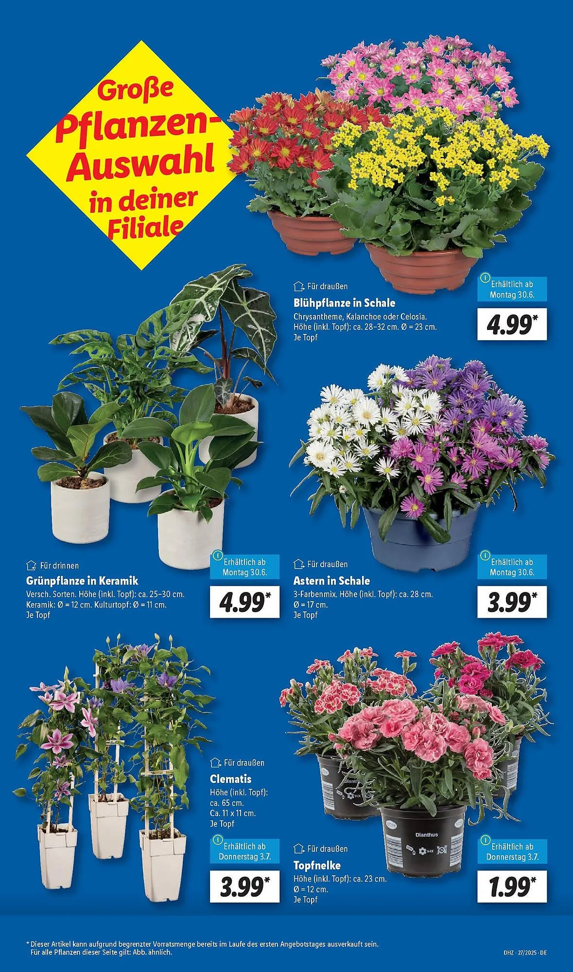 Lidl Prospekt von 29. Juni bis 5. Juli 2025 - Prospekt seite 7