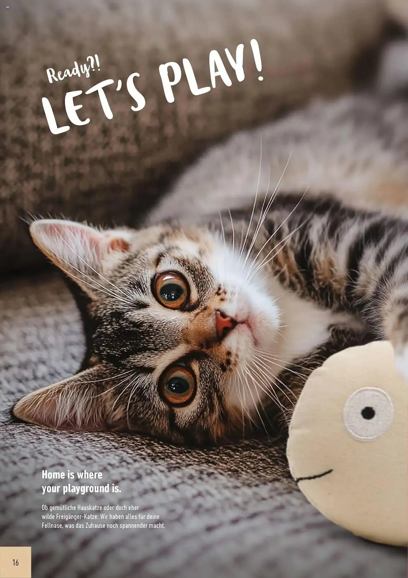 Prowin Prospekt von 1. Juli bis 30. Juni 2026 - Prospekt seite 16