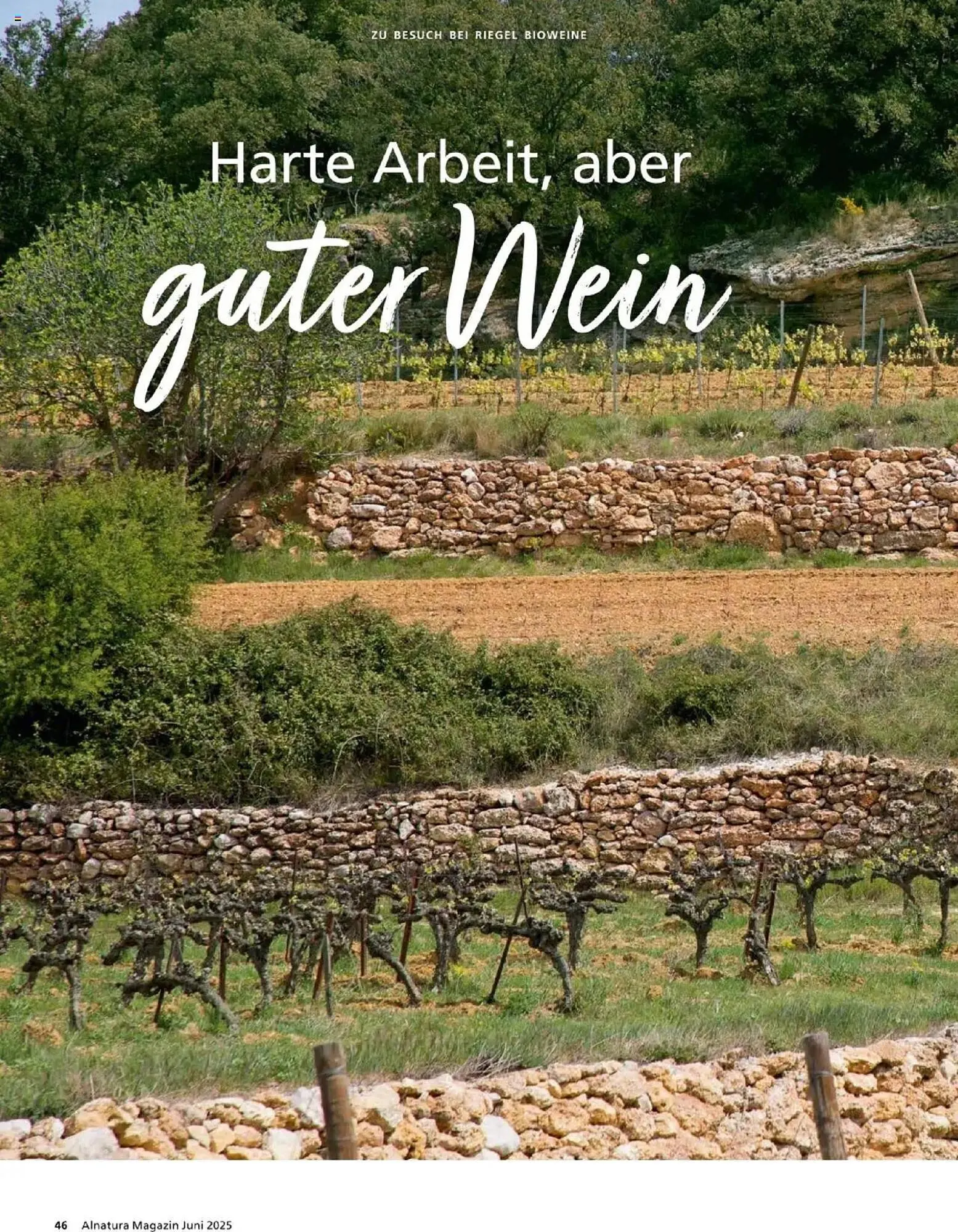 Alnatura Prospekt von 1. Juni bis 30. Juni 2025 - Prospekt seite 46