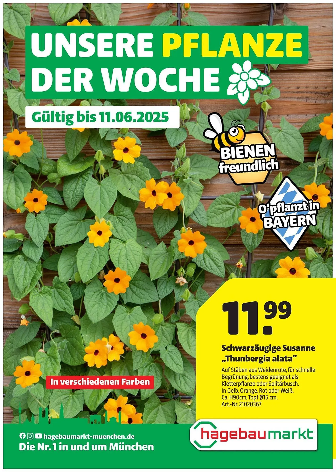 Hagebau Prospekt von 5. Juni bis 12. Juni 2025 - Prospekt seite 1