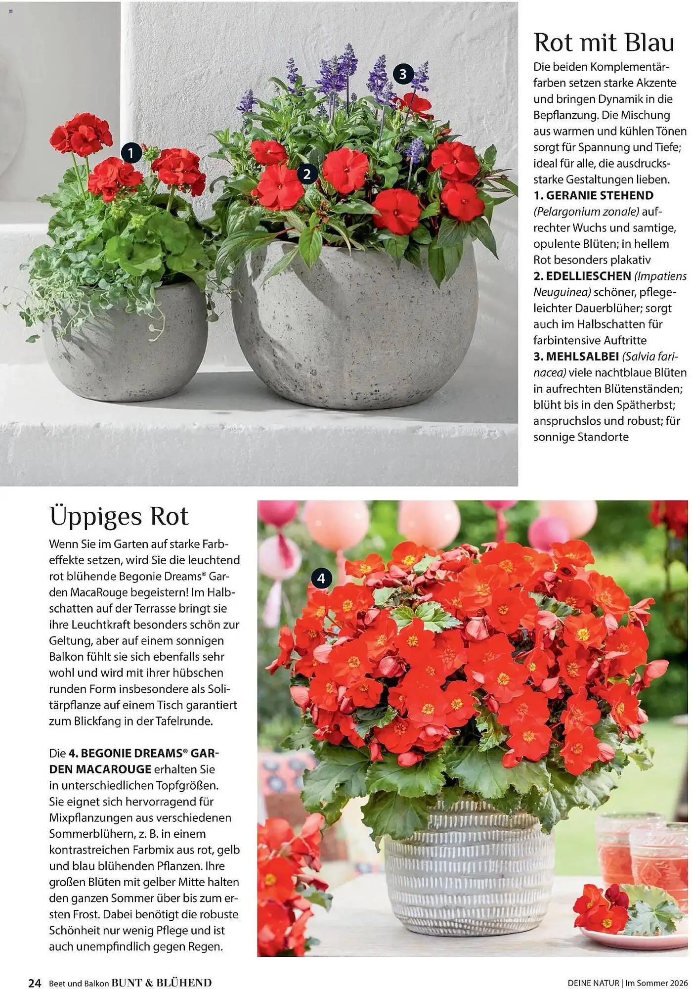 Dehner Prospekt von 17. April bis 31. August 2026 - Prospekt seite 24