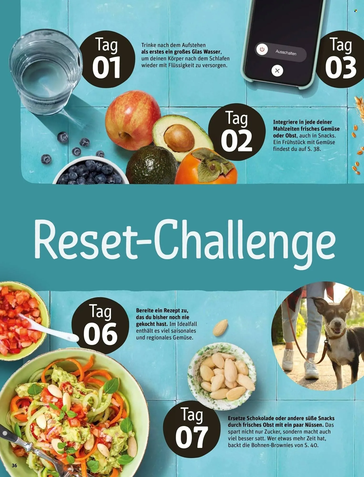 REWE Magazin von 4. März bis 12. März 2026 - Prospekt seite 36