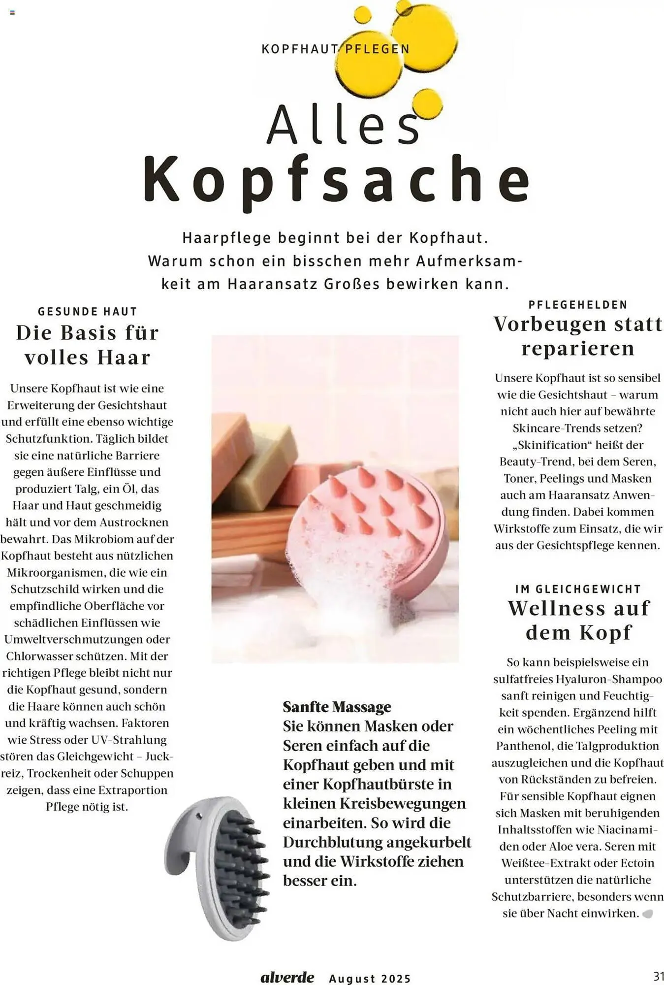 dm drogerie Prospekt von 1. August bis 31. August 2025 - Prospekt seite 31